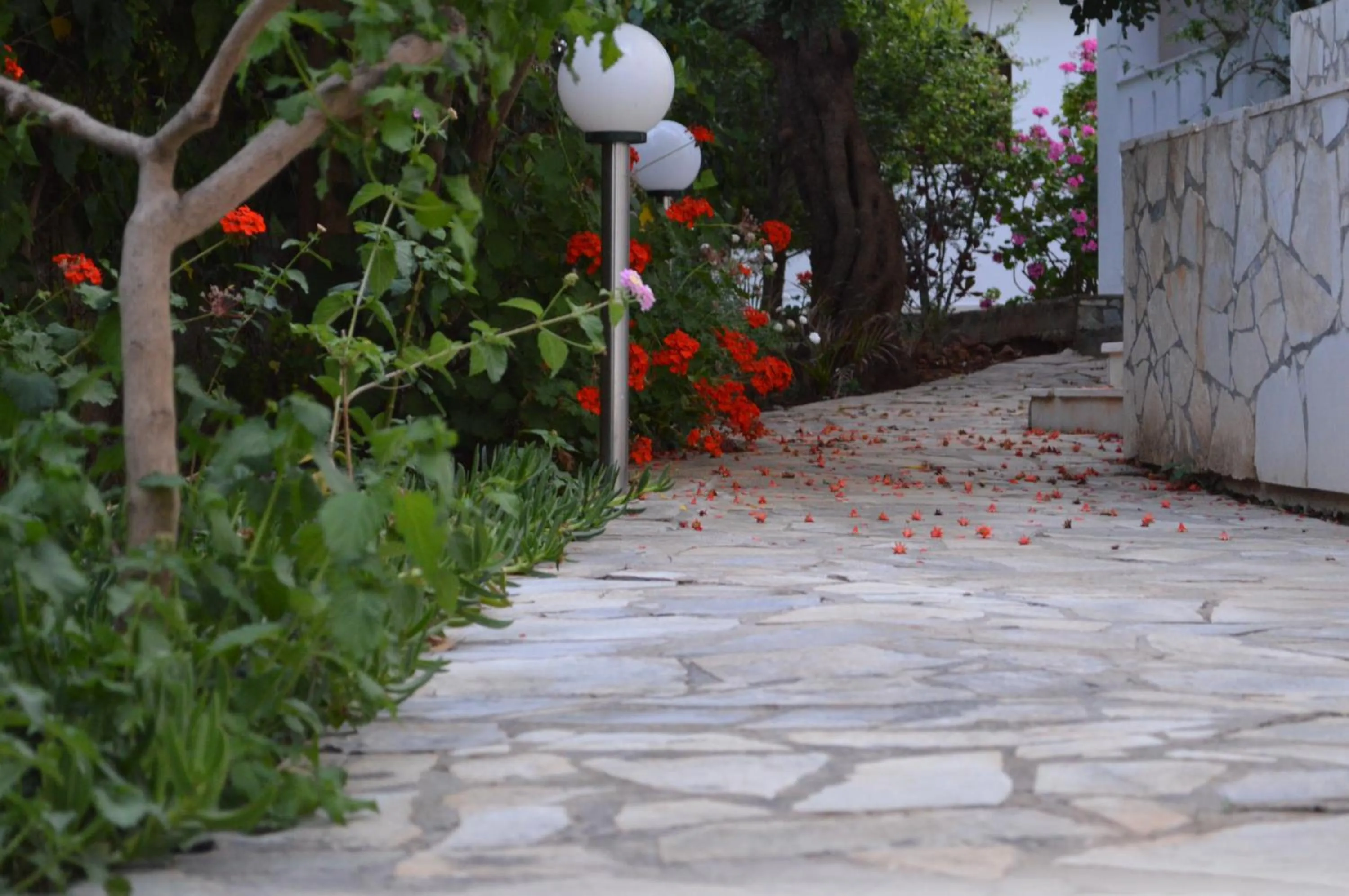 Garden view in Nikos Apartments