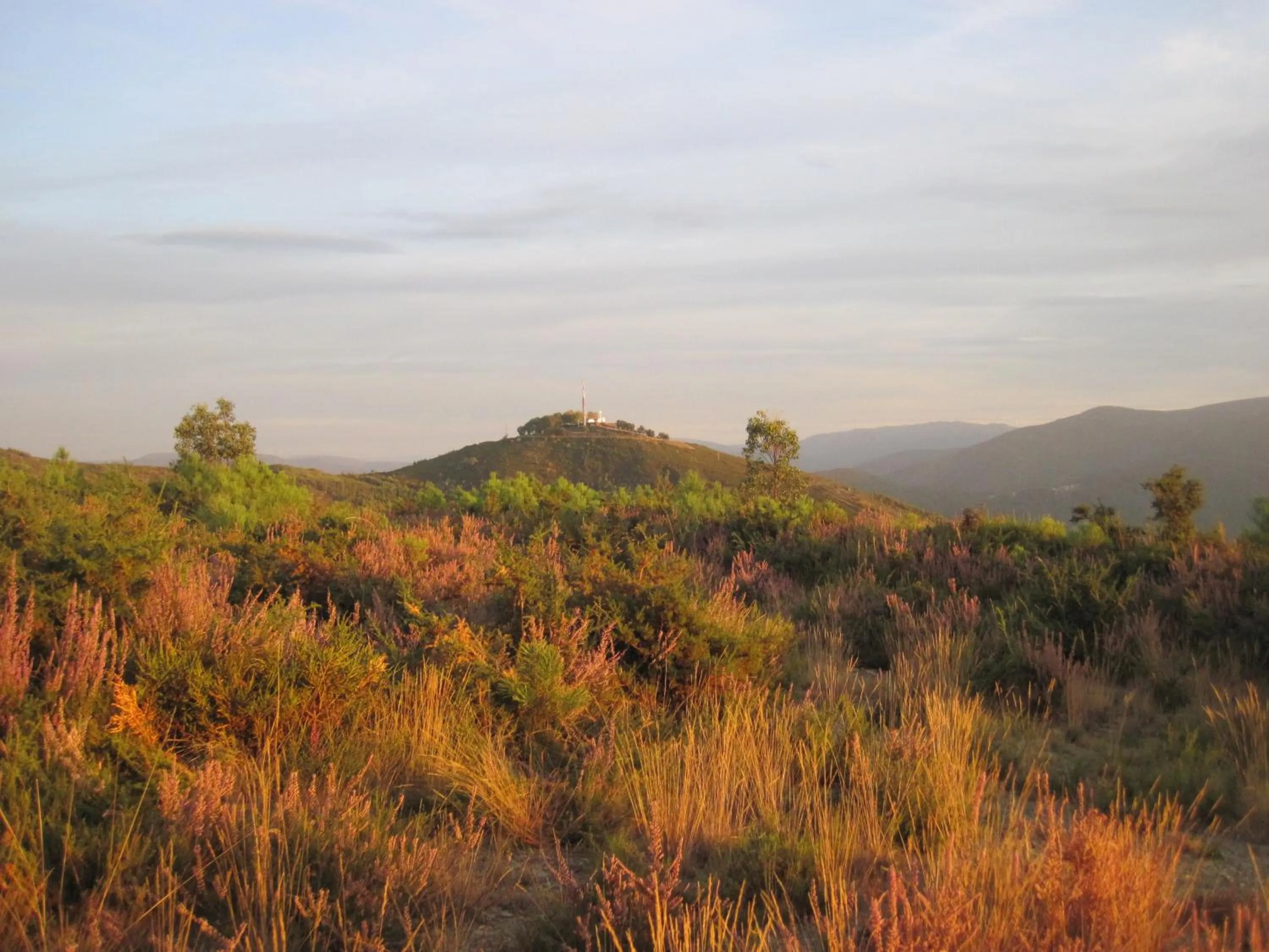 Natural landscape in Hotel Rural Quinta de Novais