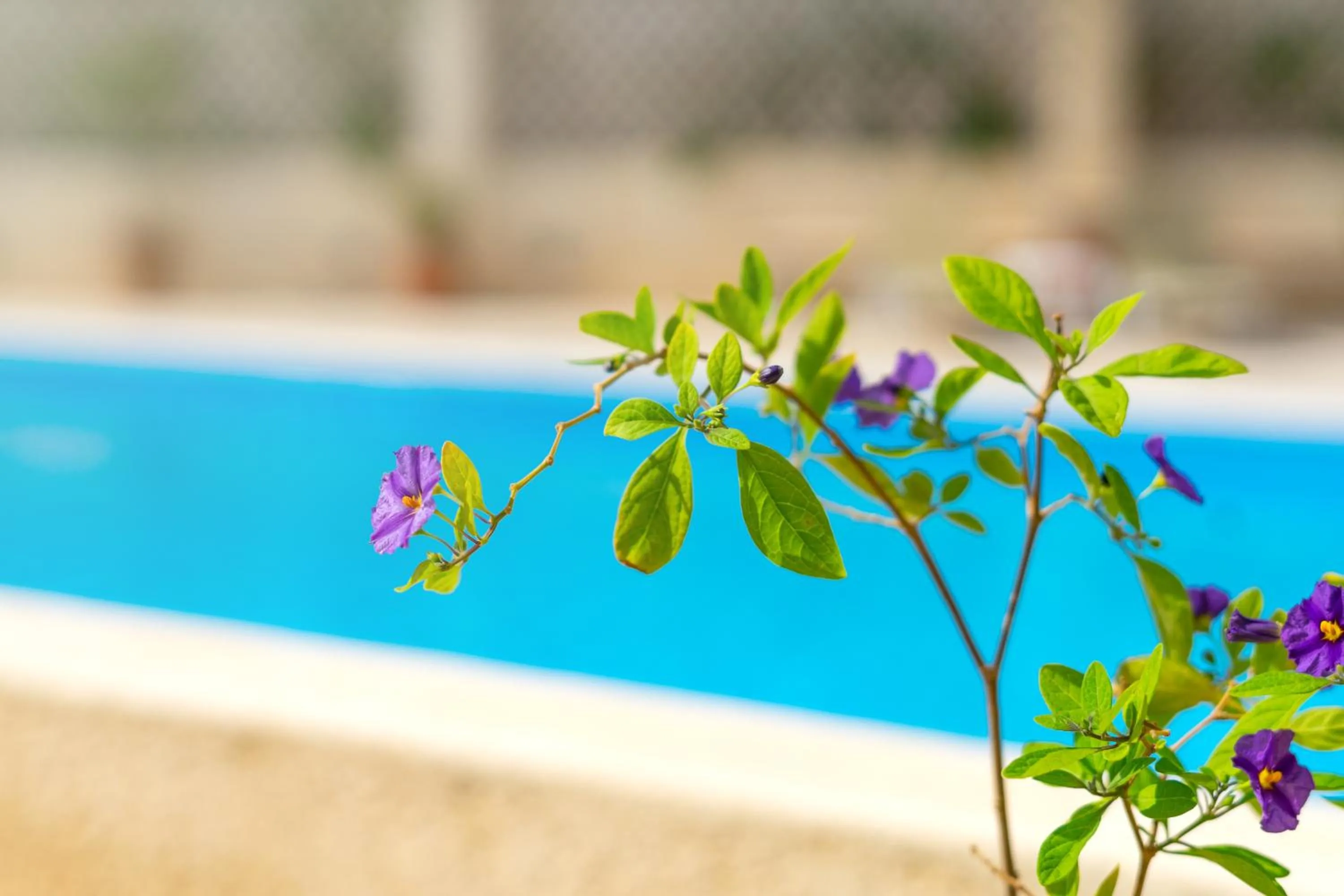 Swimming pool in Hiona Holiday Hotel