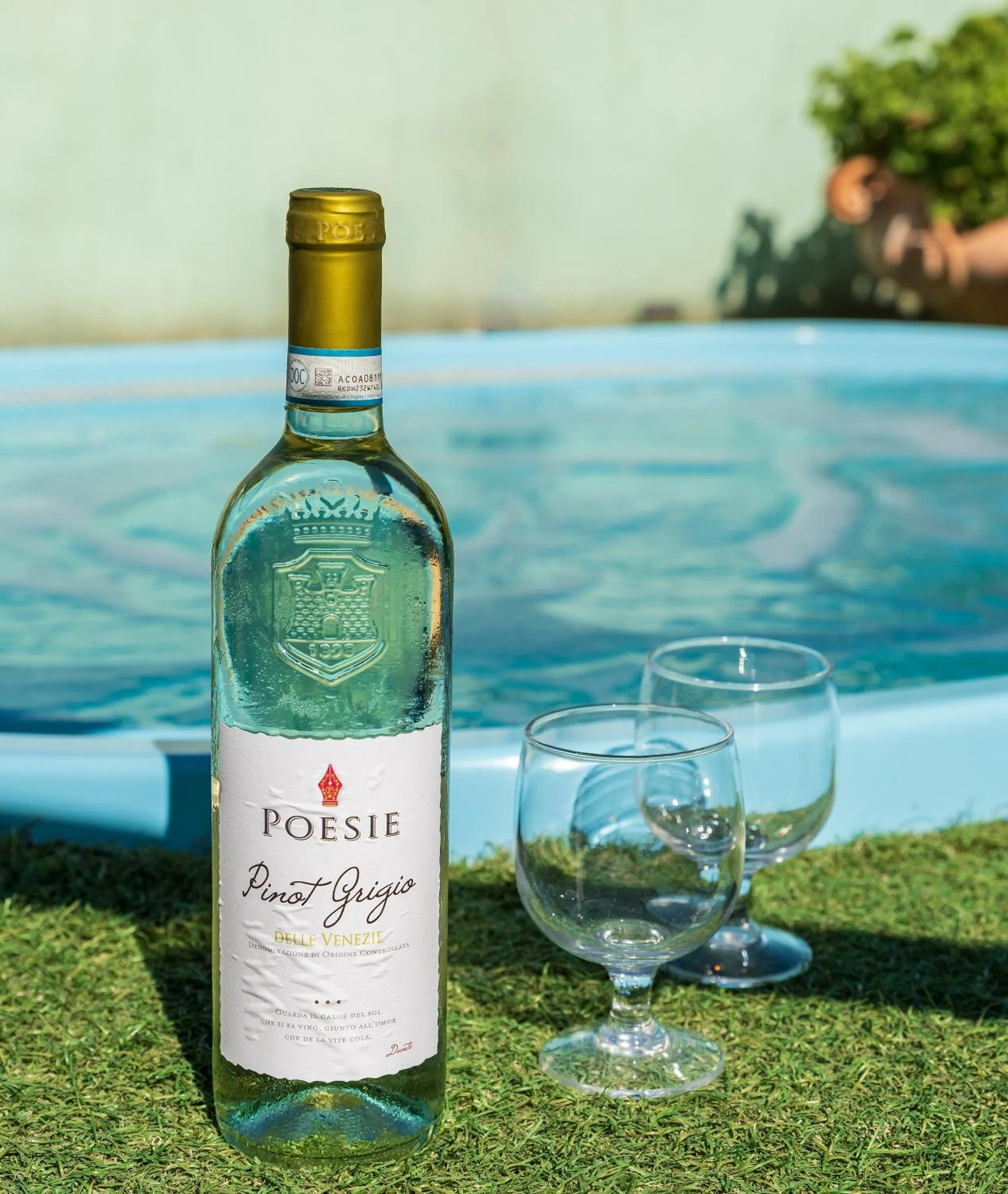 Pool view in Hotel Residence Charles