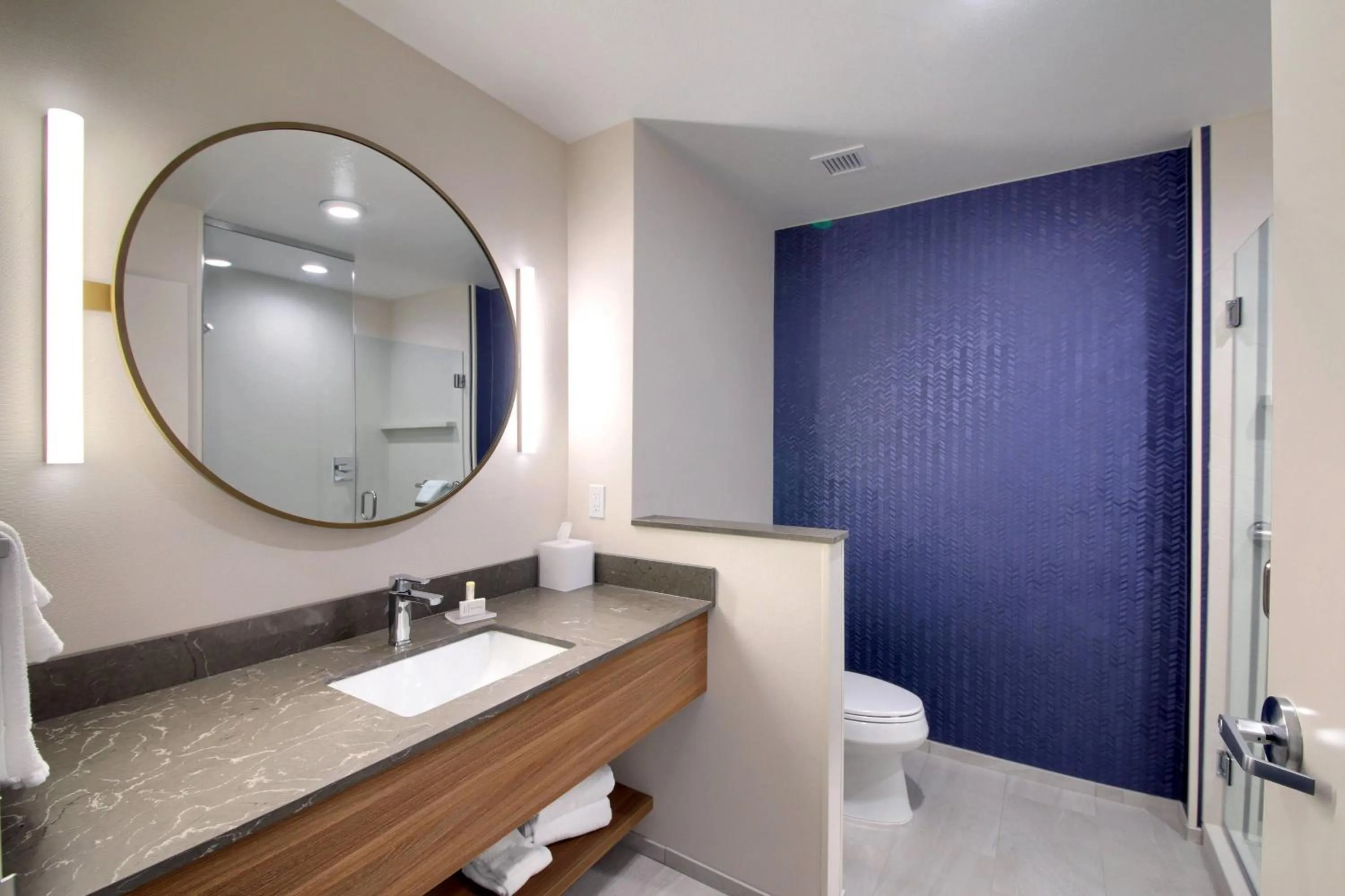 Bathroom in Fairfield Inn & Suites by Marriott Dallas Cedar Hill