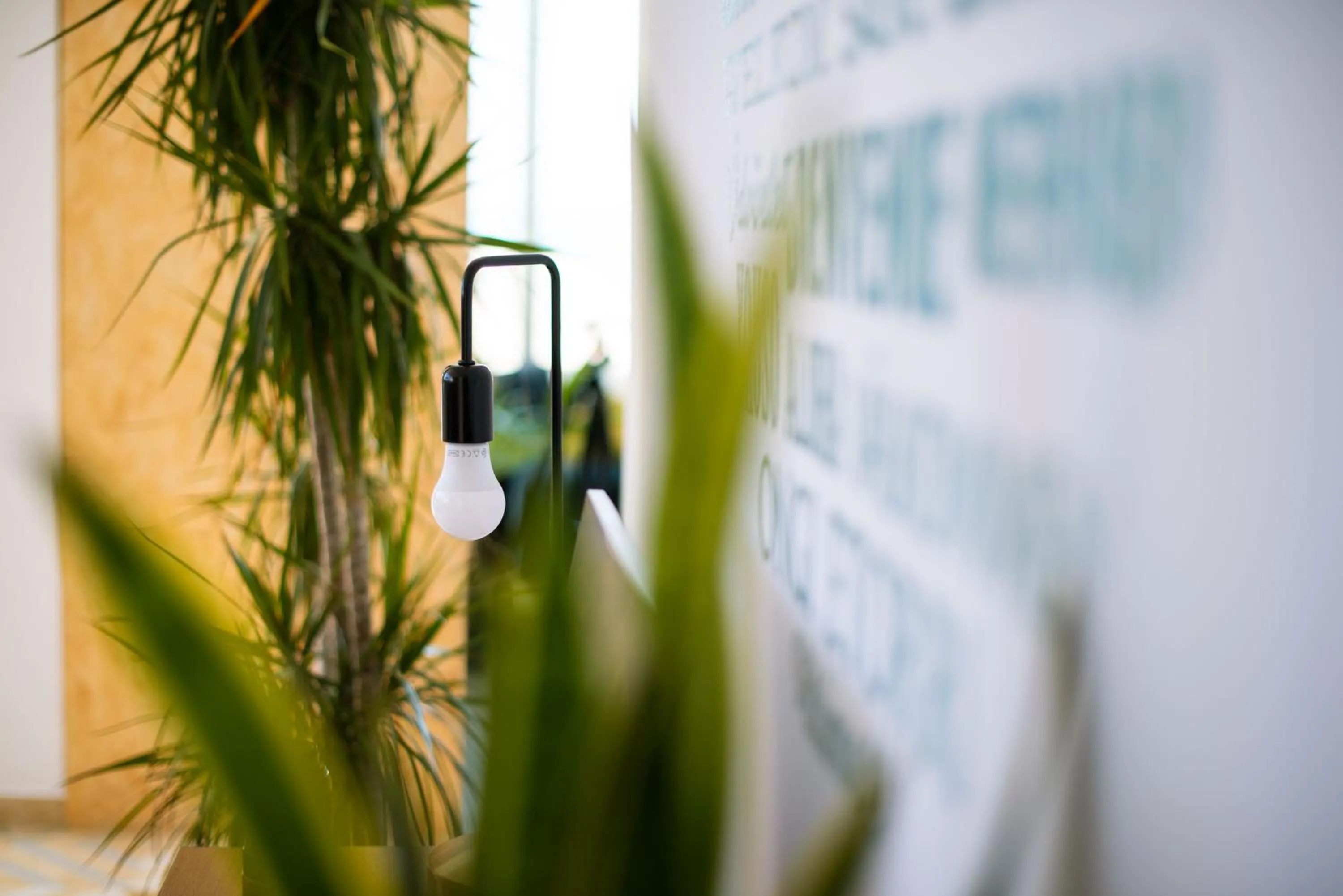 Decorative detail in TAKE SURF Hostel Conil
