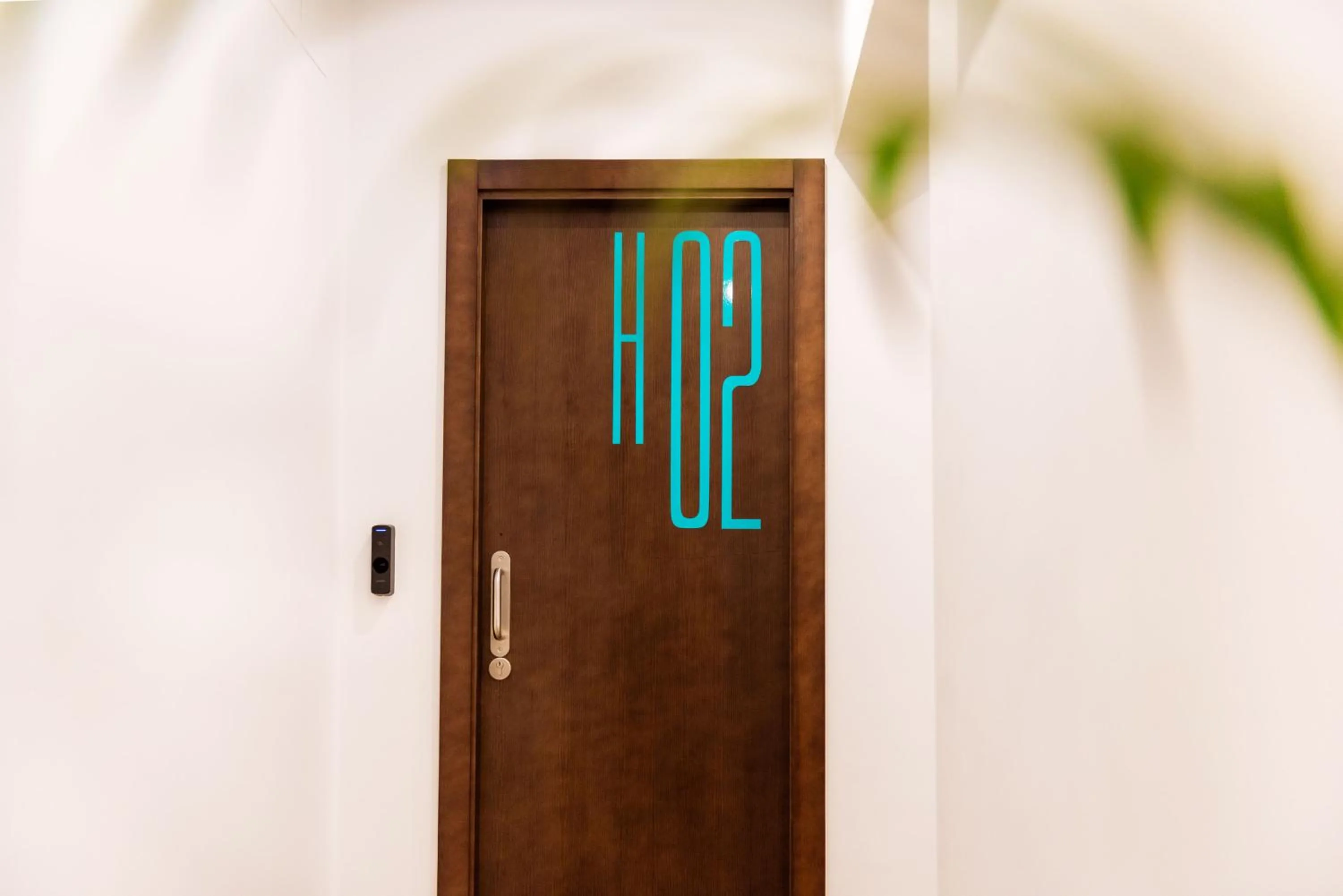 Decorative detail in TAKE SURF Hostel Conil