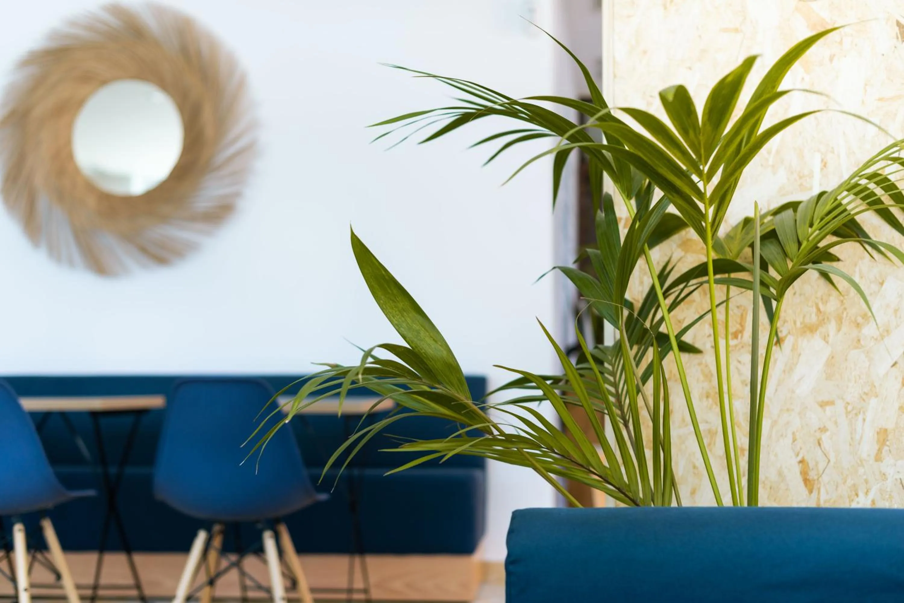 Decorative detail in TAKE SURF Hostel Conil