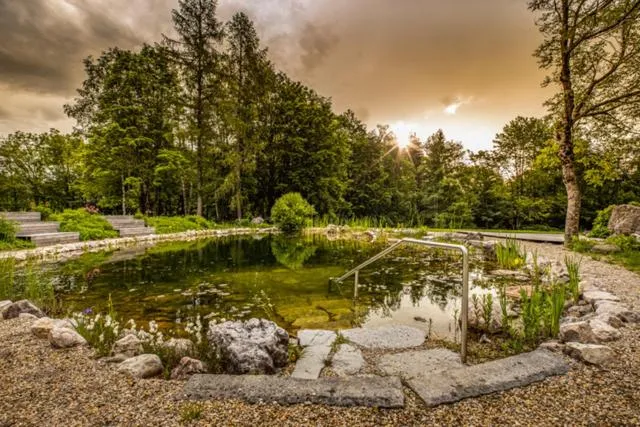 Swimming pool in Hotel garni Kranzbichlhof