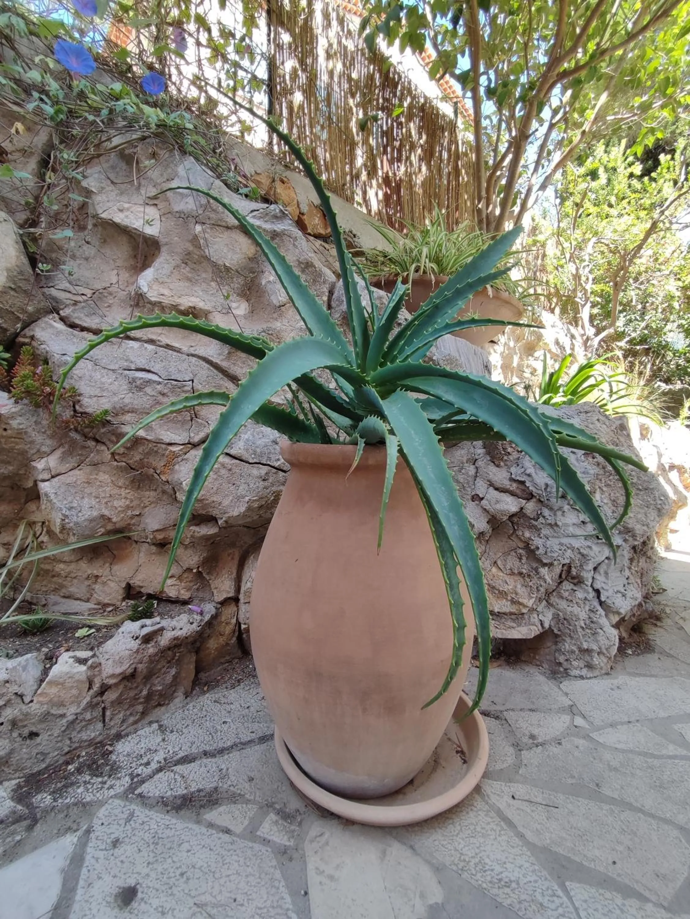 Garden in Les Galets Hôtel et B&B
