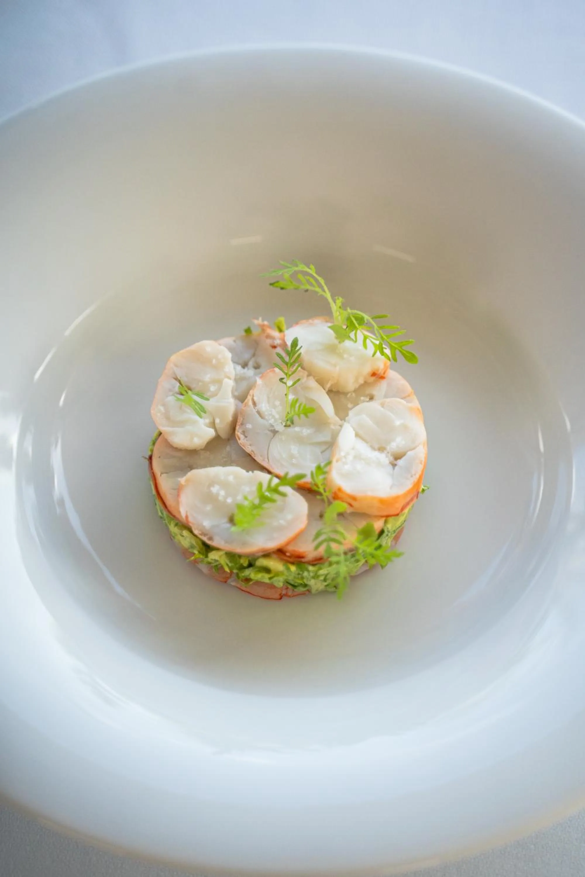 Restaurant/places to eat in Hotel Baia