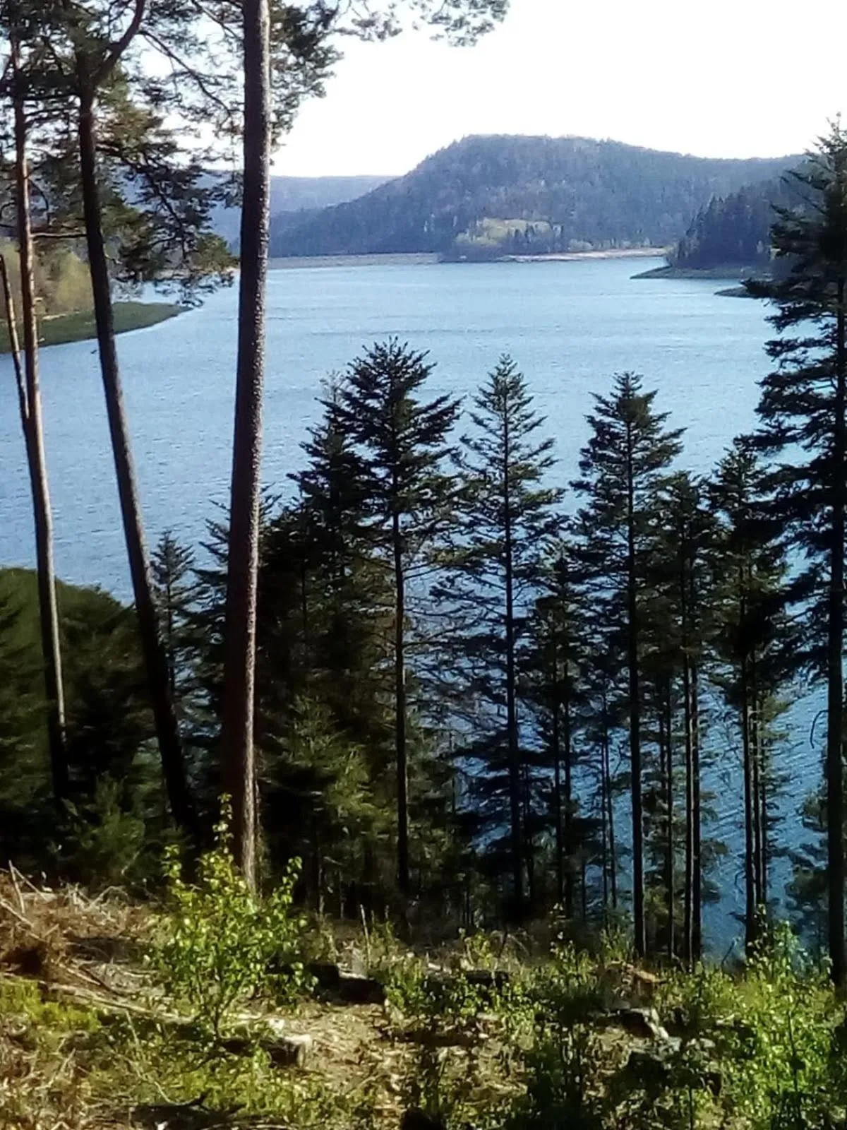 Lorraine Badonviller