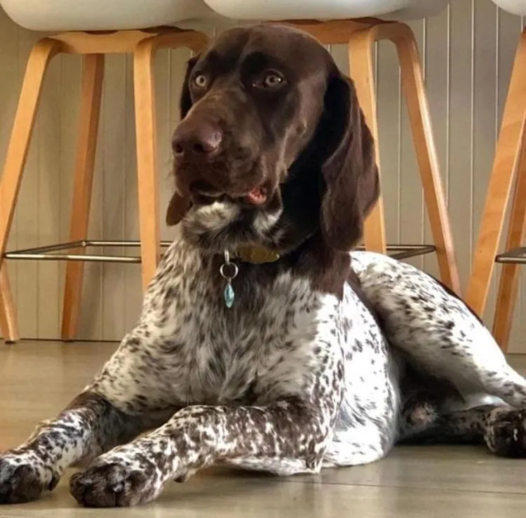 Bentley's Guesthouse