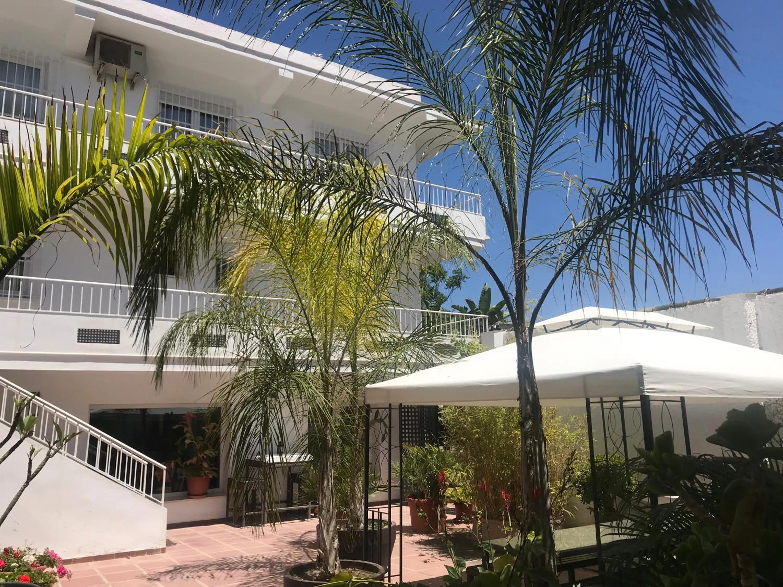 Garden in Apartamentos Turísticos La Mundial