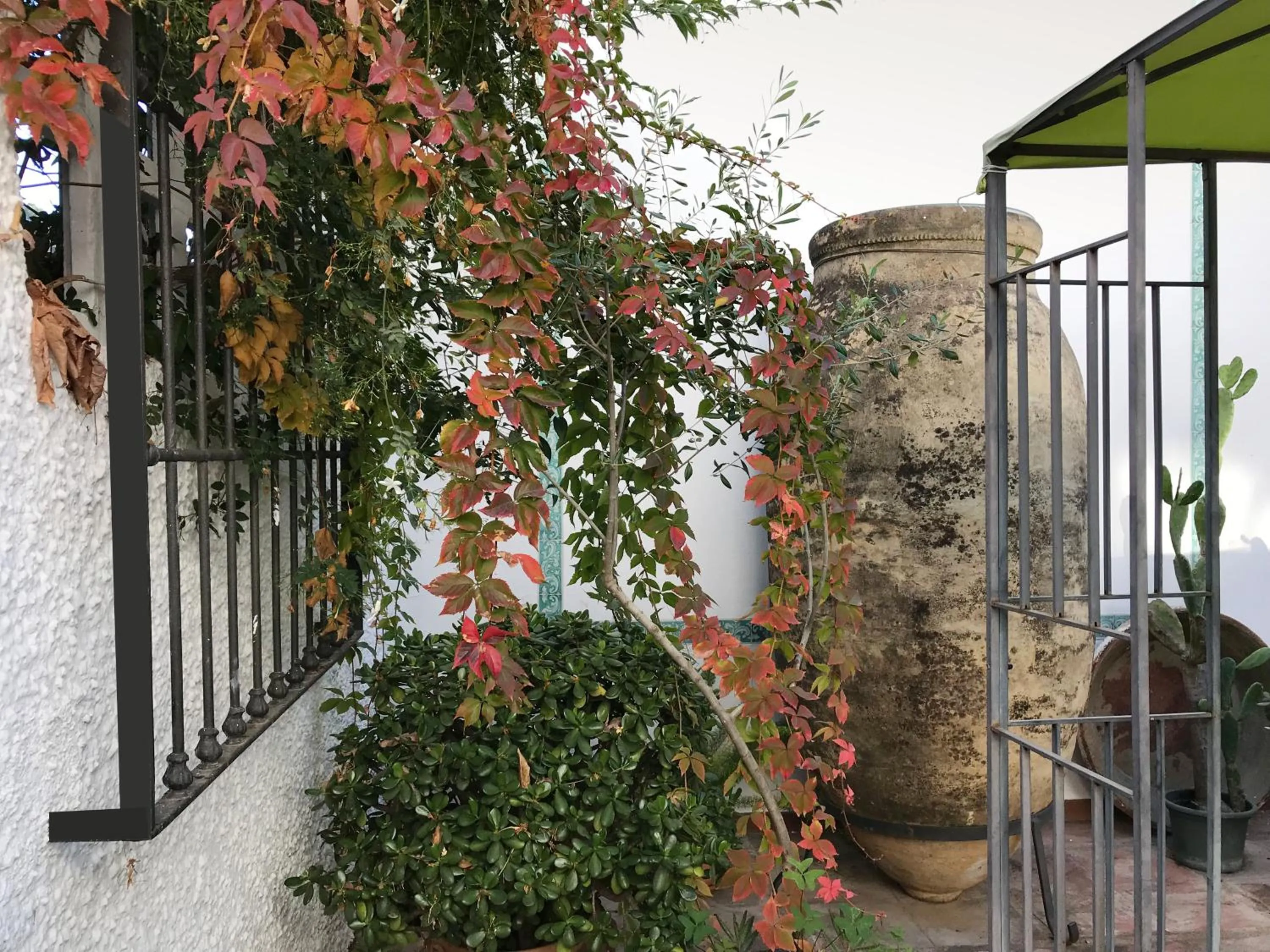 Garden in Apartamentos Turísticos La Mundial