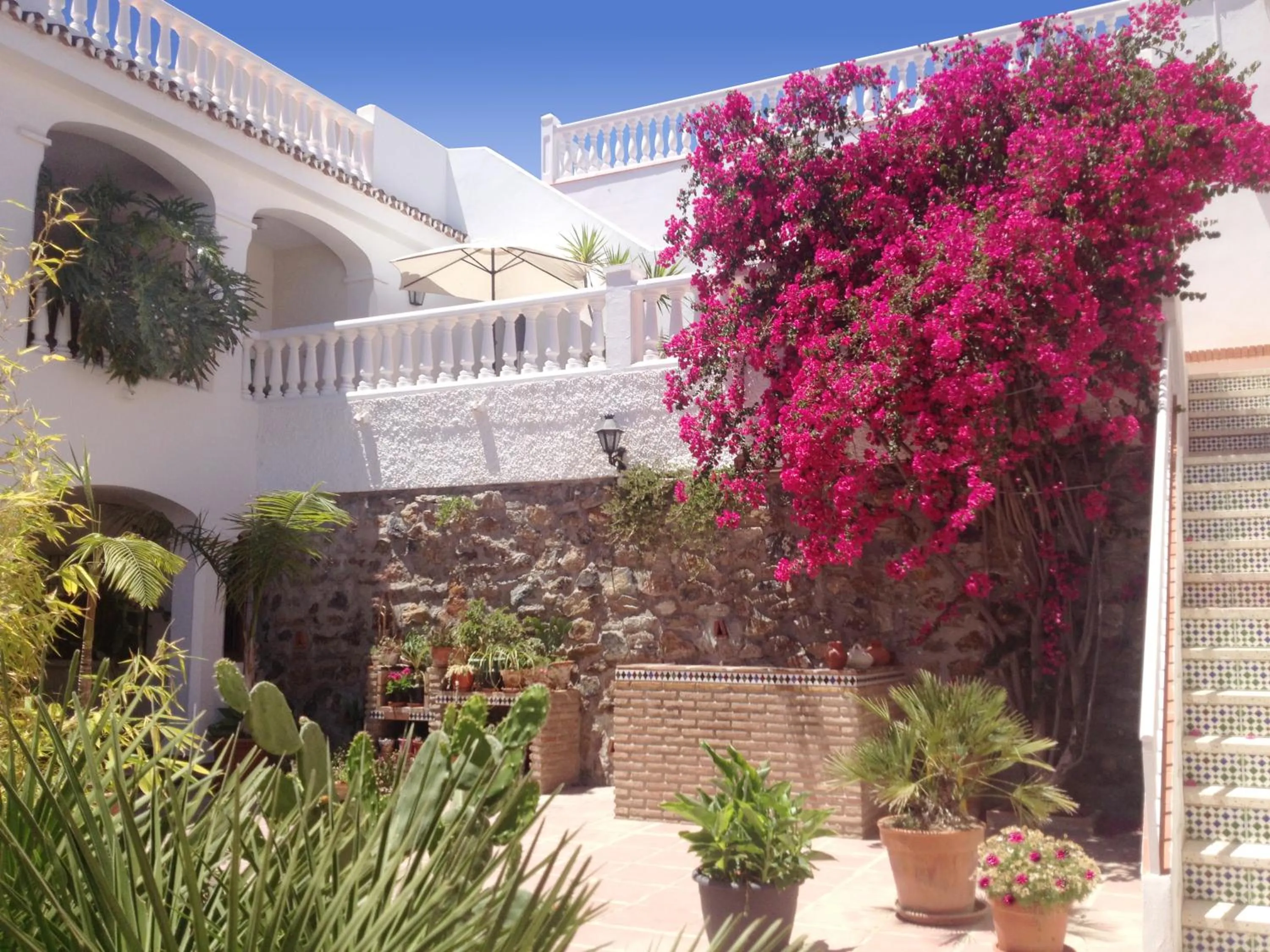 Patio in Apartamentos Turísticos La Mundial