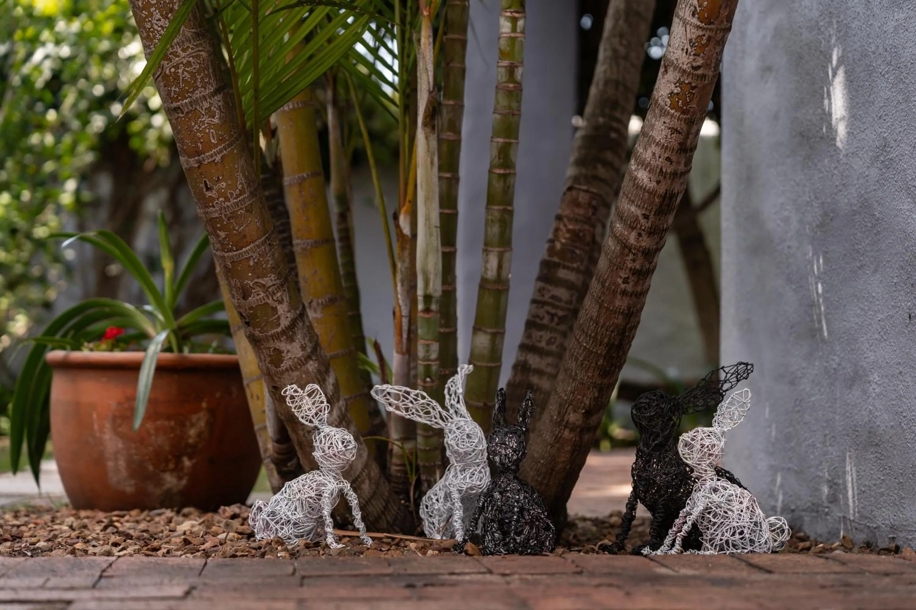 Garden in Be My Guest Lodge