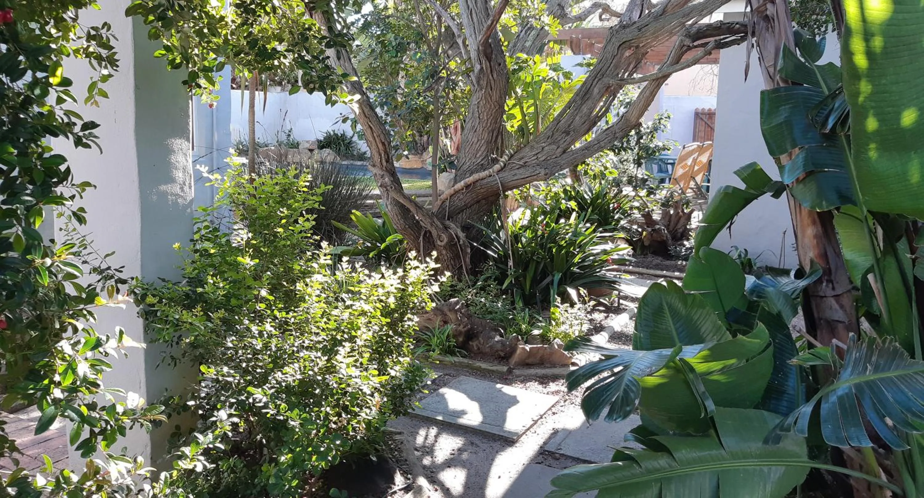 Garden in Be My Guest Lodge