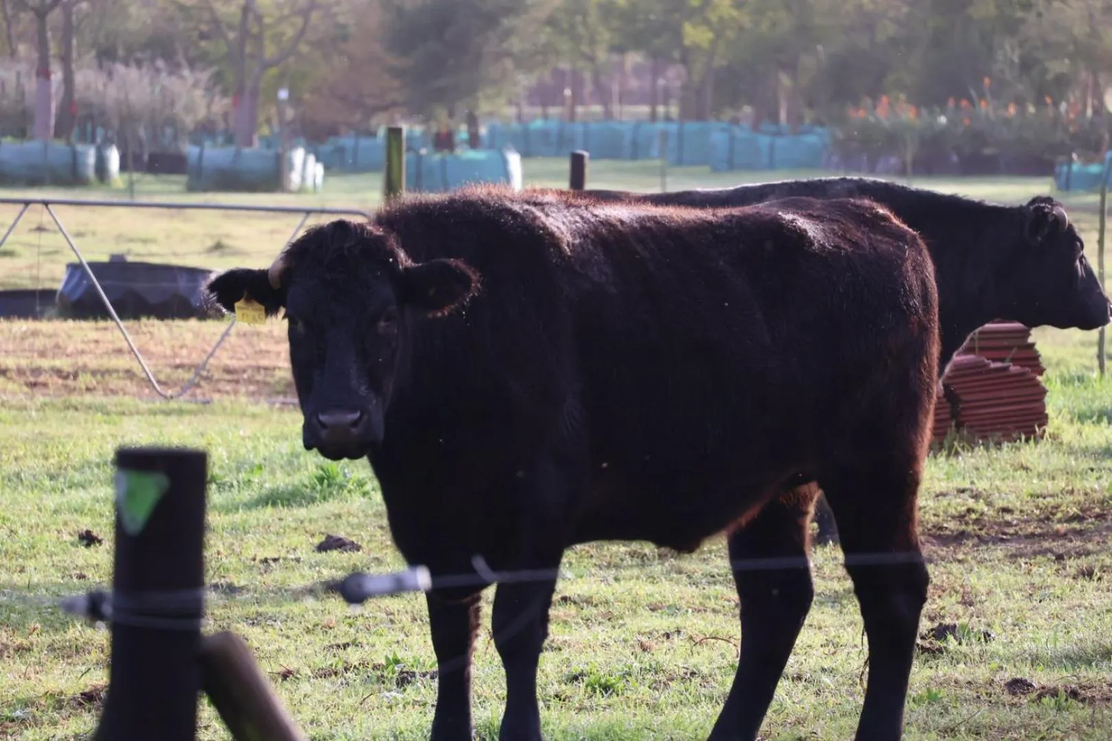 Landmark view in The Country Guesthouse