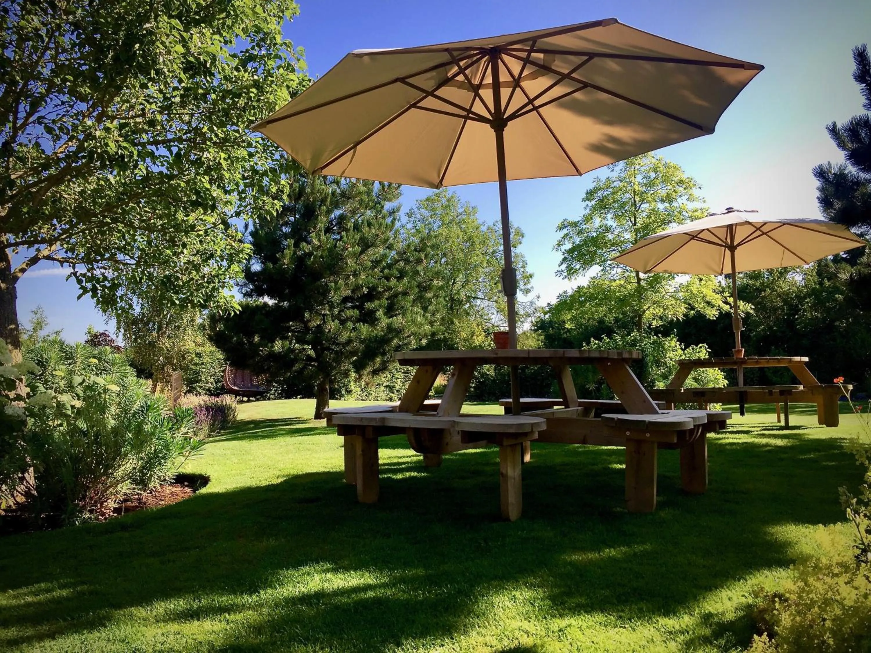 Garden in The Brisley Bell