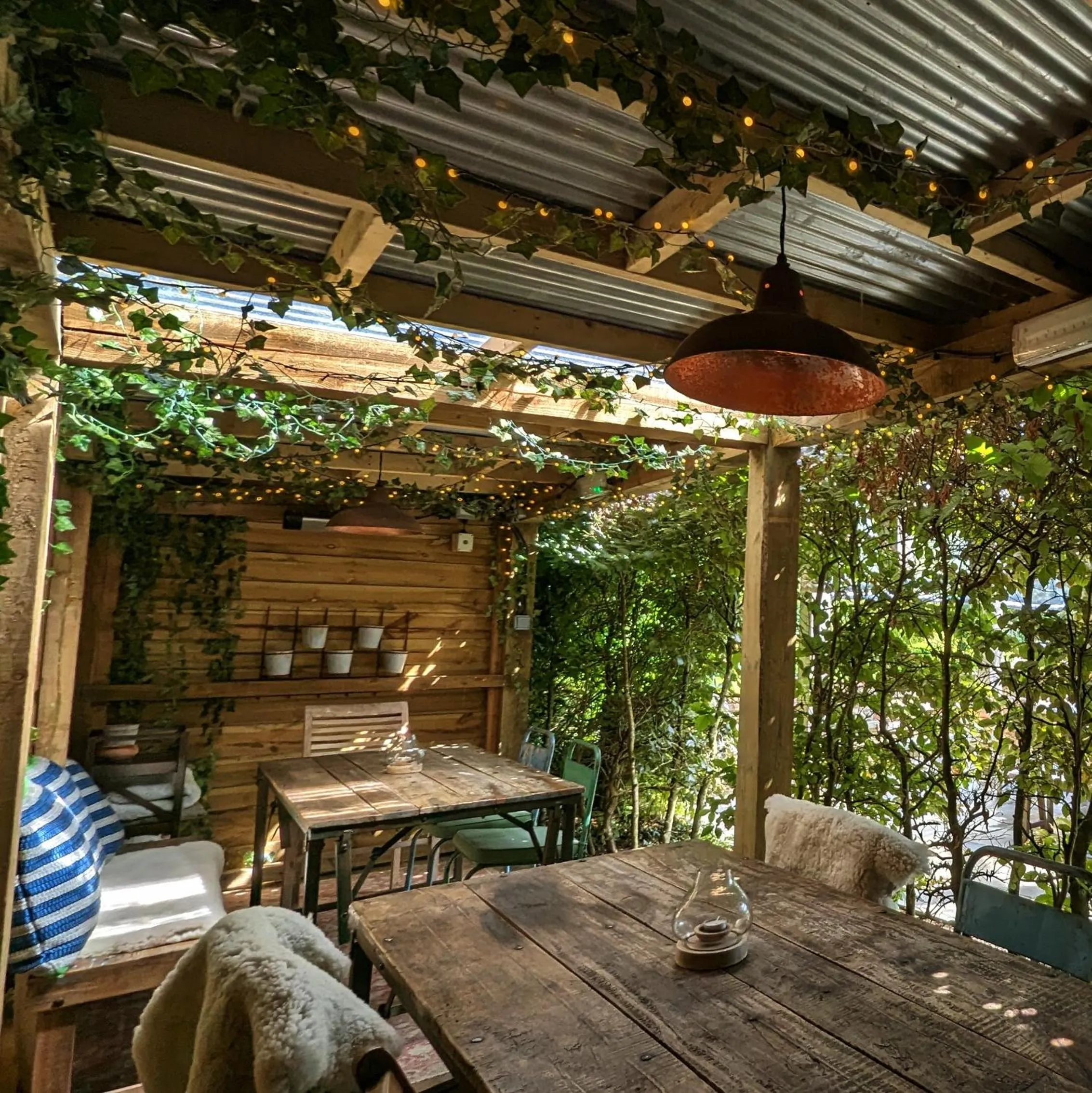 Garden in The Brisley Bell