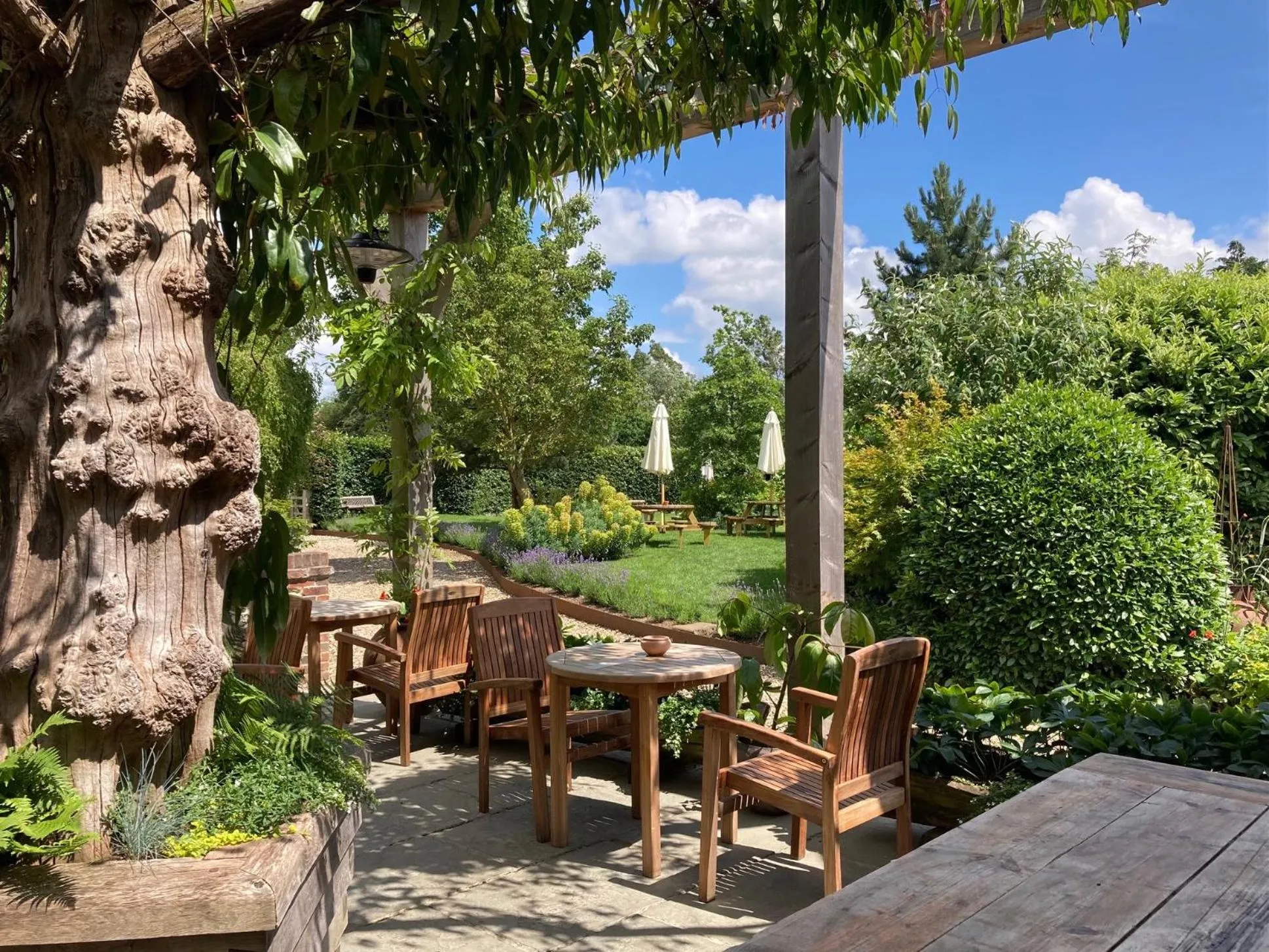 Garden in The Brisley Bell