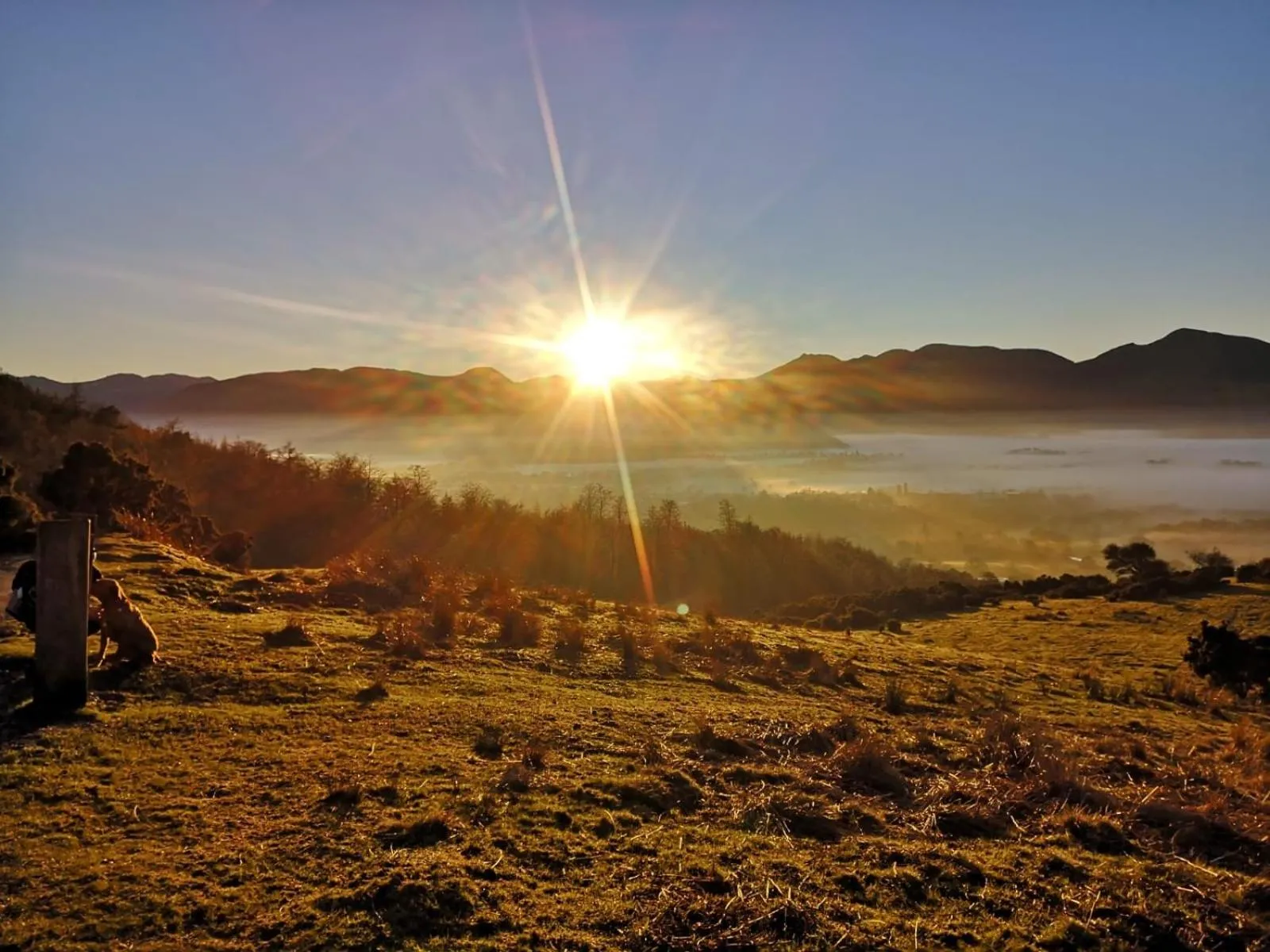 Off site in Goodwin House