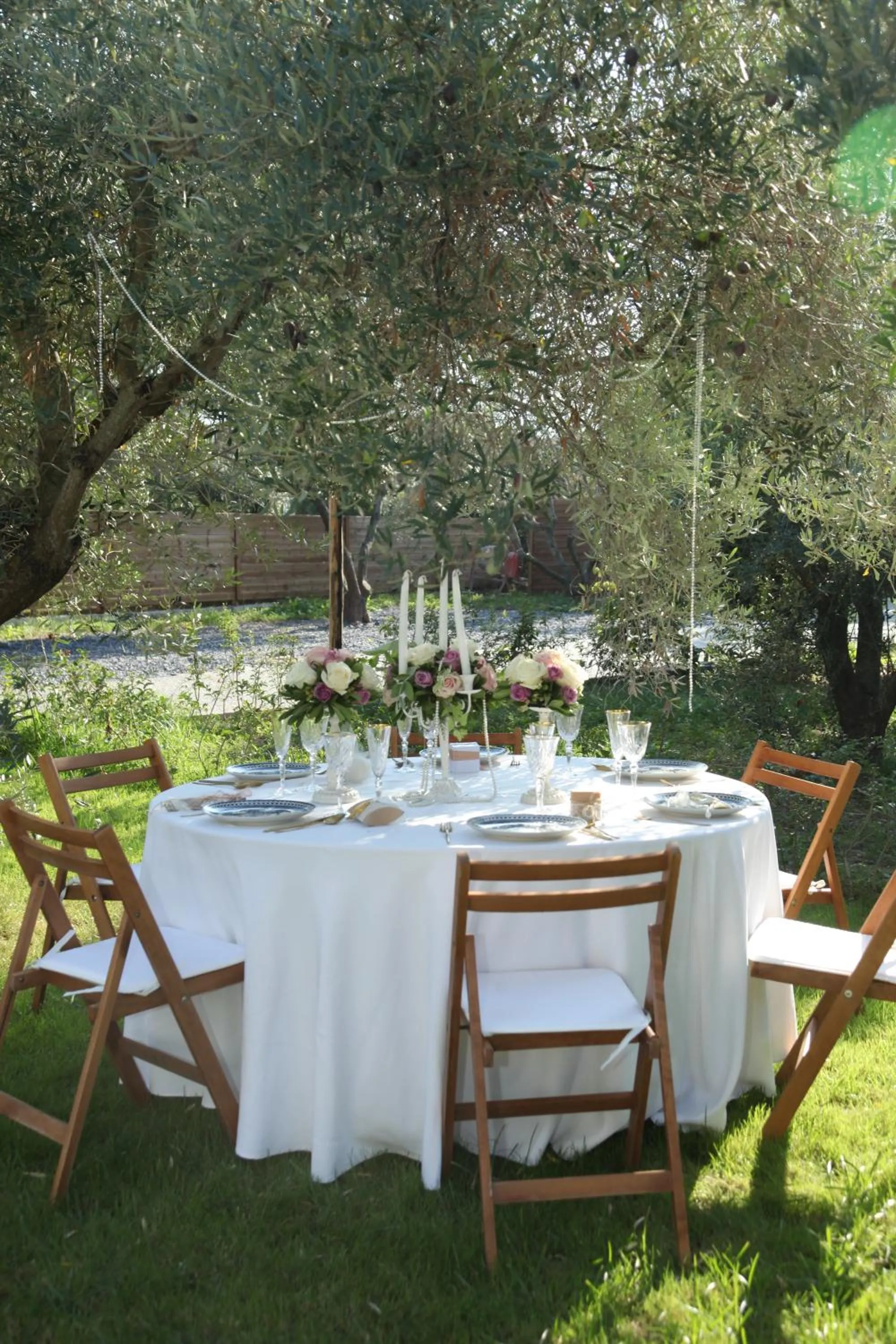 Banquet/Function facilities in Elies 33 Bio Retreat