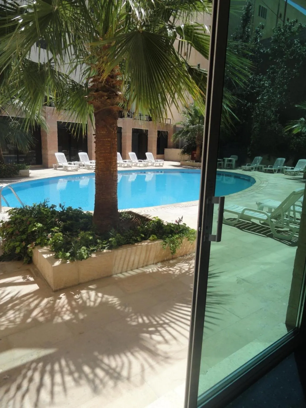 Swimming pool in Petra Palace Hotel
