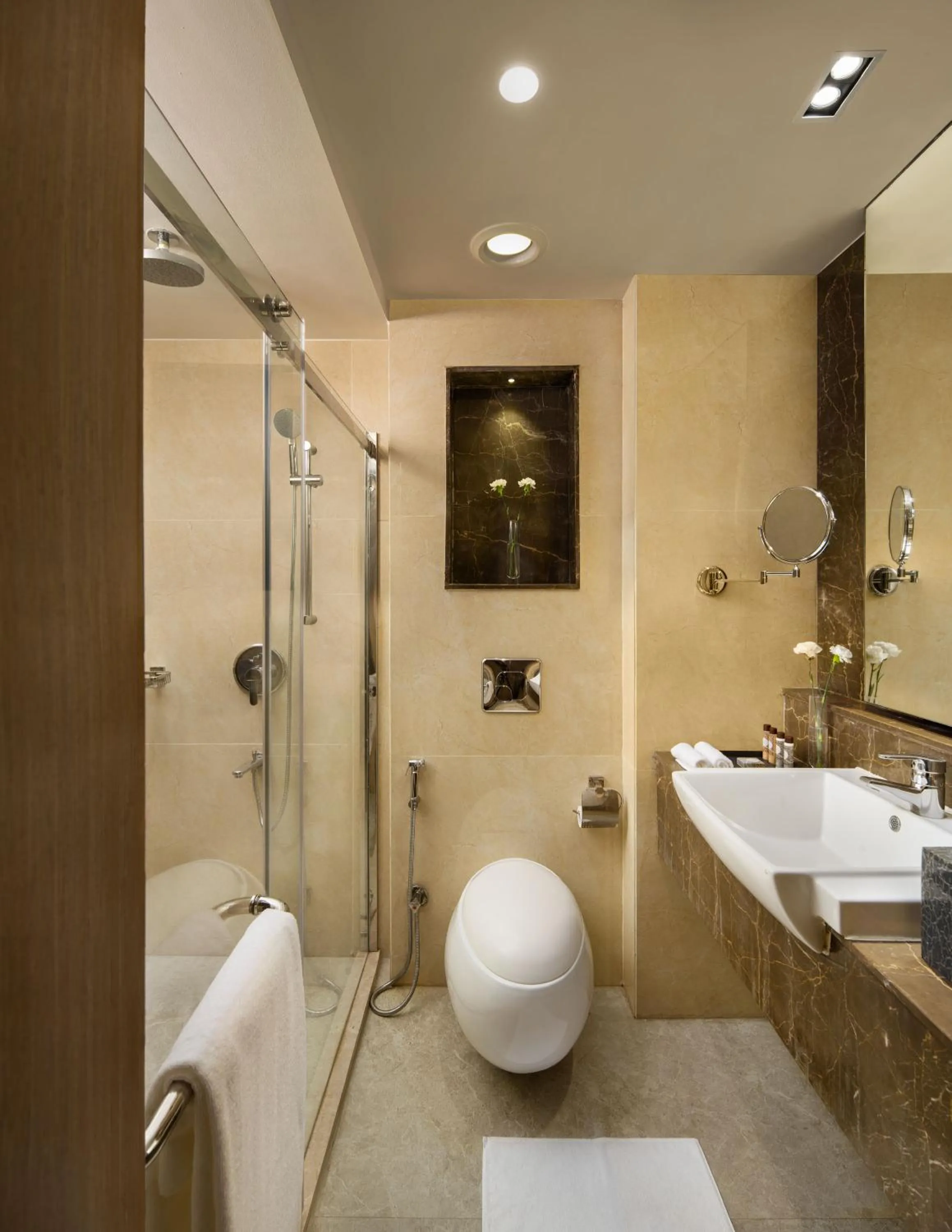 Shower in The Crown, Bhubaneswar - IHCL SeleQtions