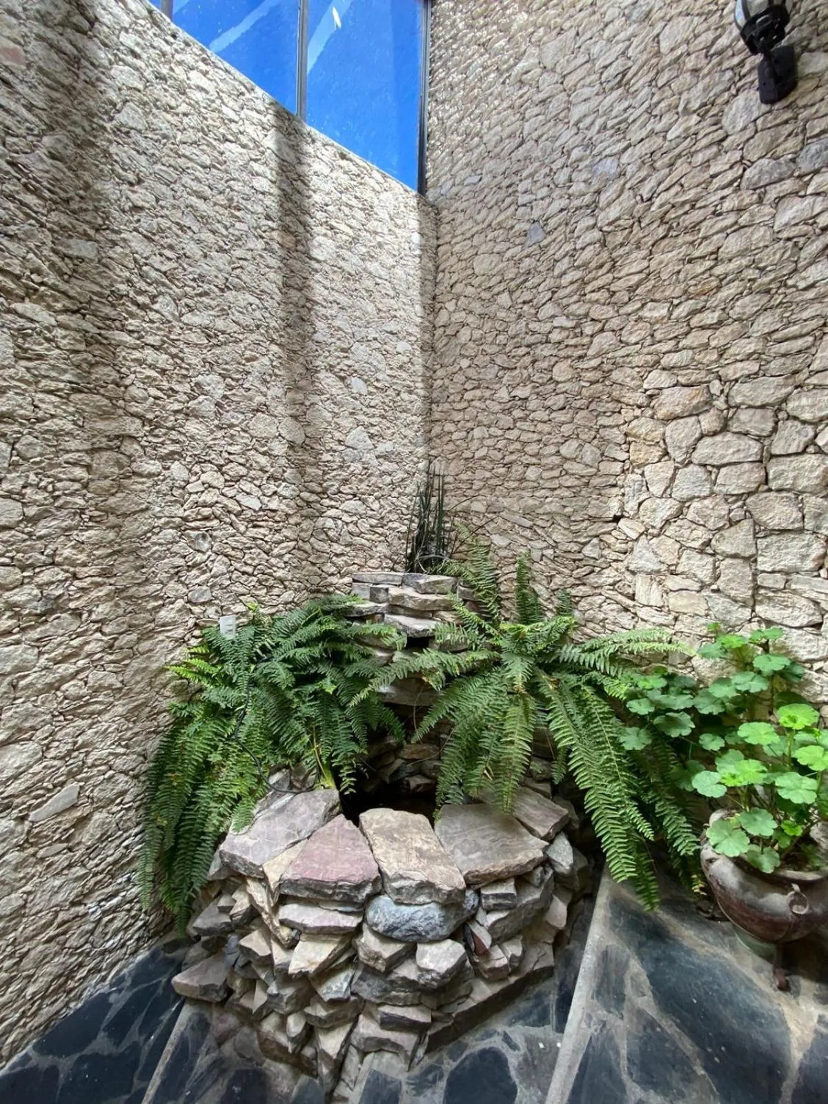 Garden in Hotel Boutique Don Faustino