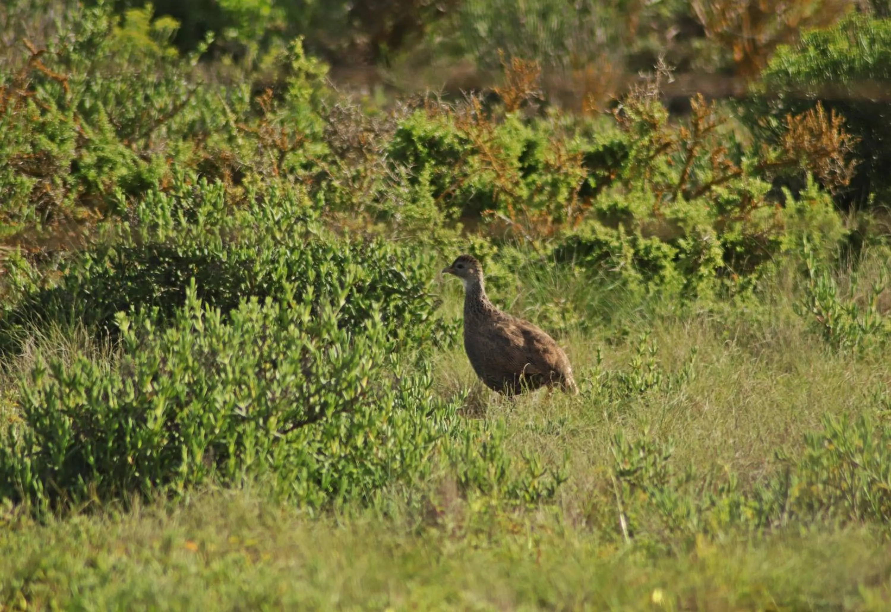 Property building in Tortoise Trail Lodge