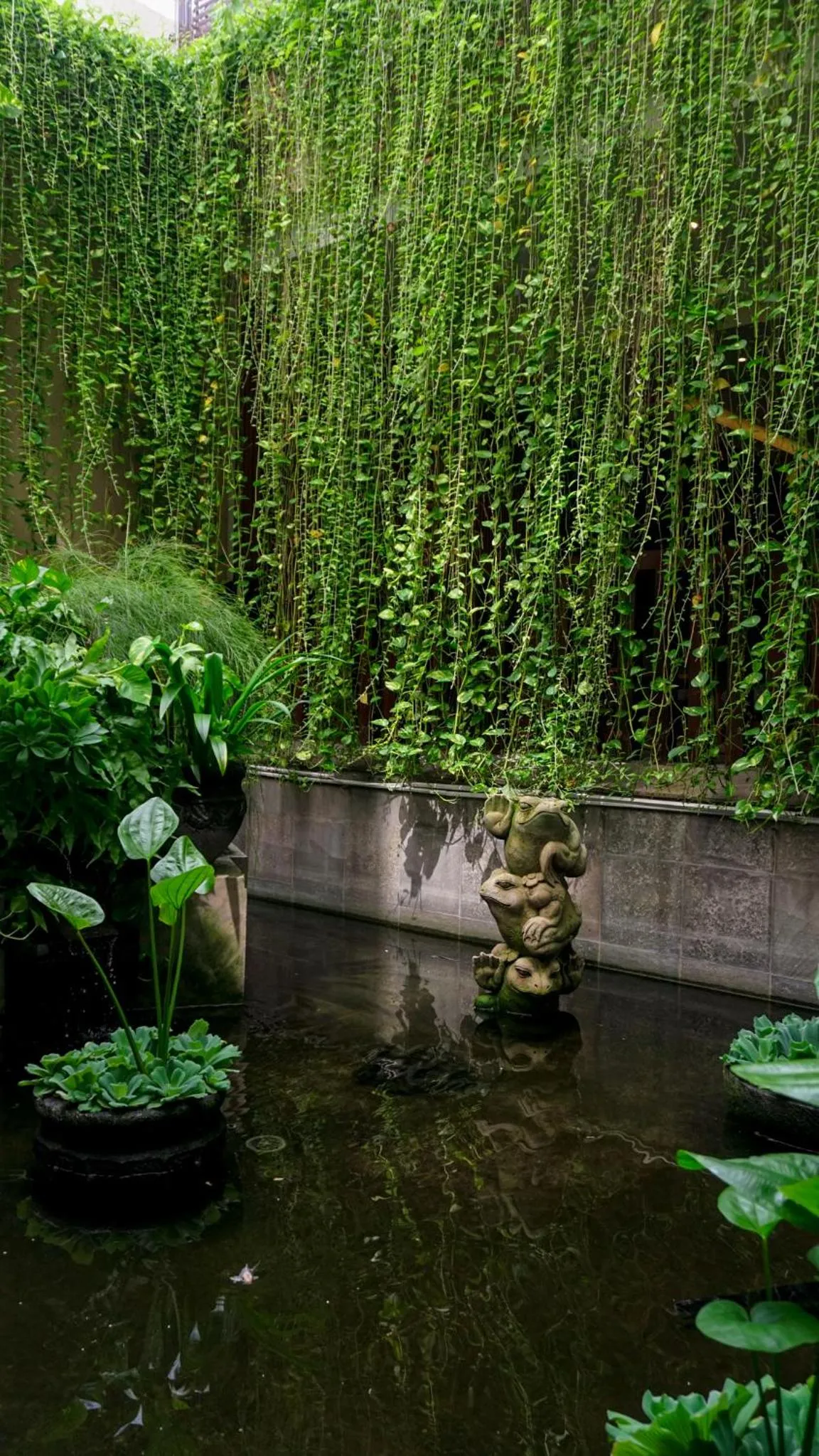 Garden view in Tusita Boutique Hotel