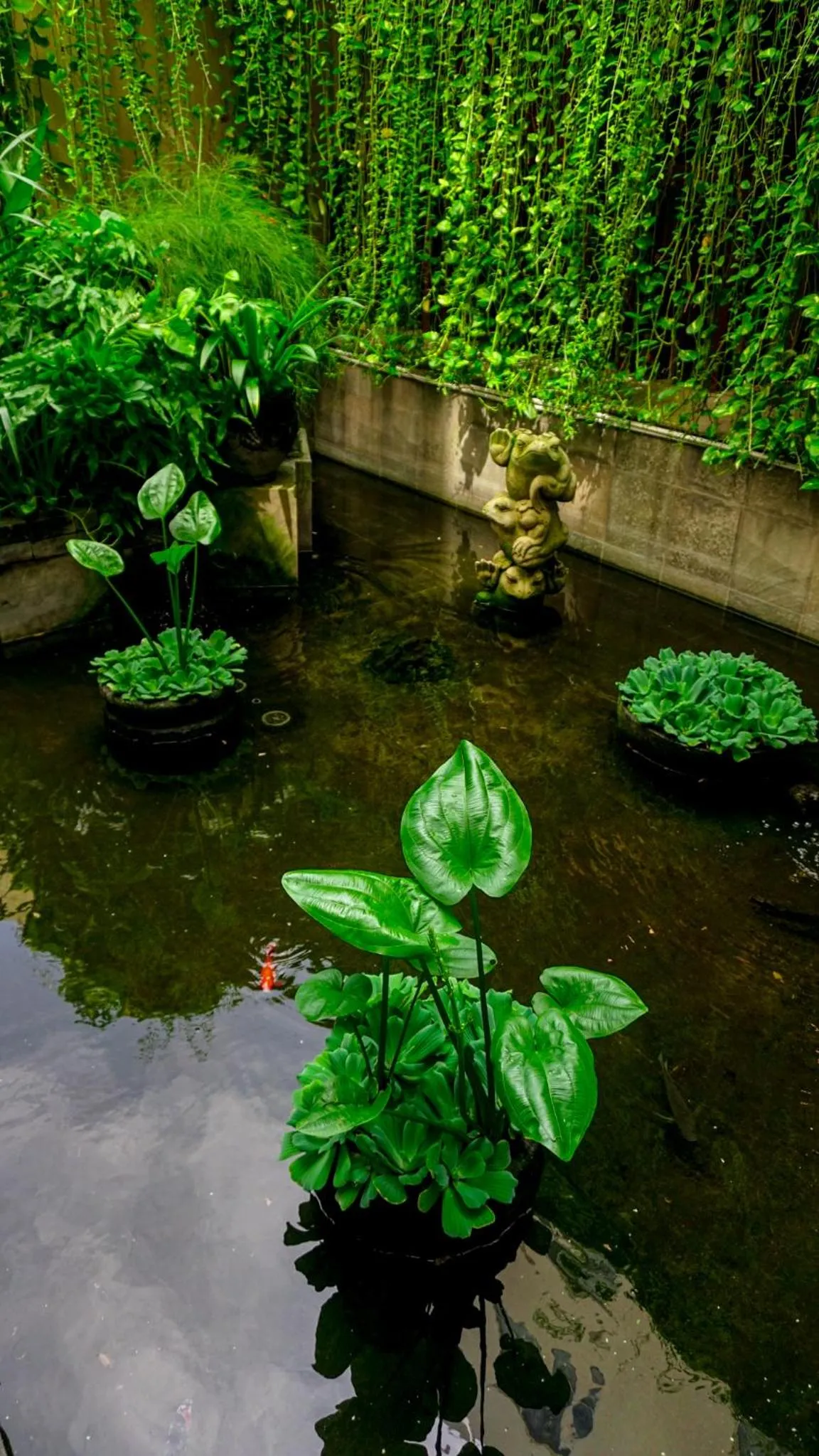 Garden view in Tusita Boutique Hotel