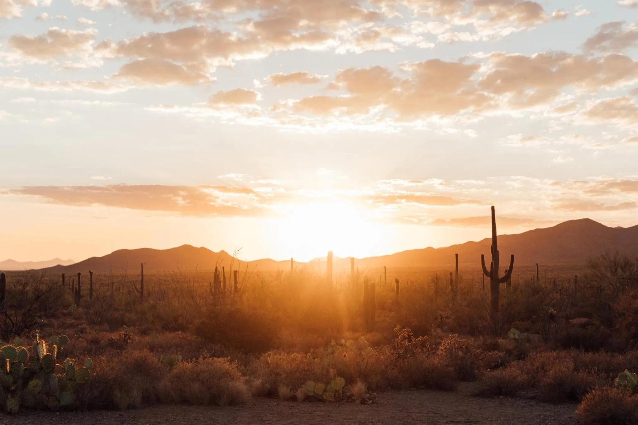 Nearby landmark in voco The Tuxon by IHG