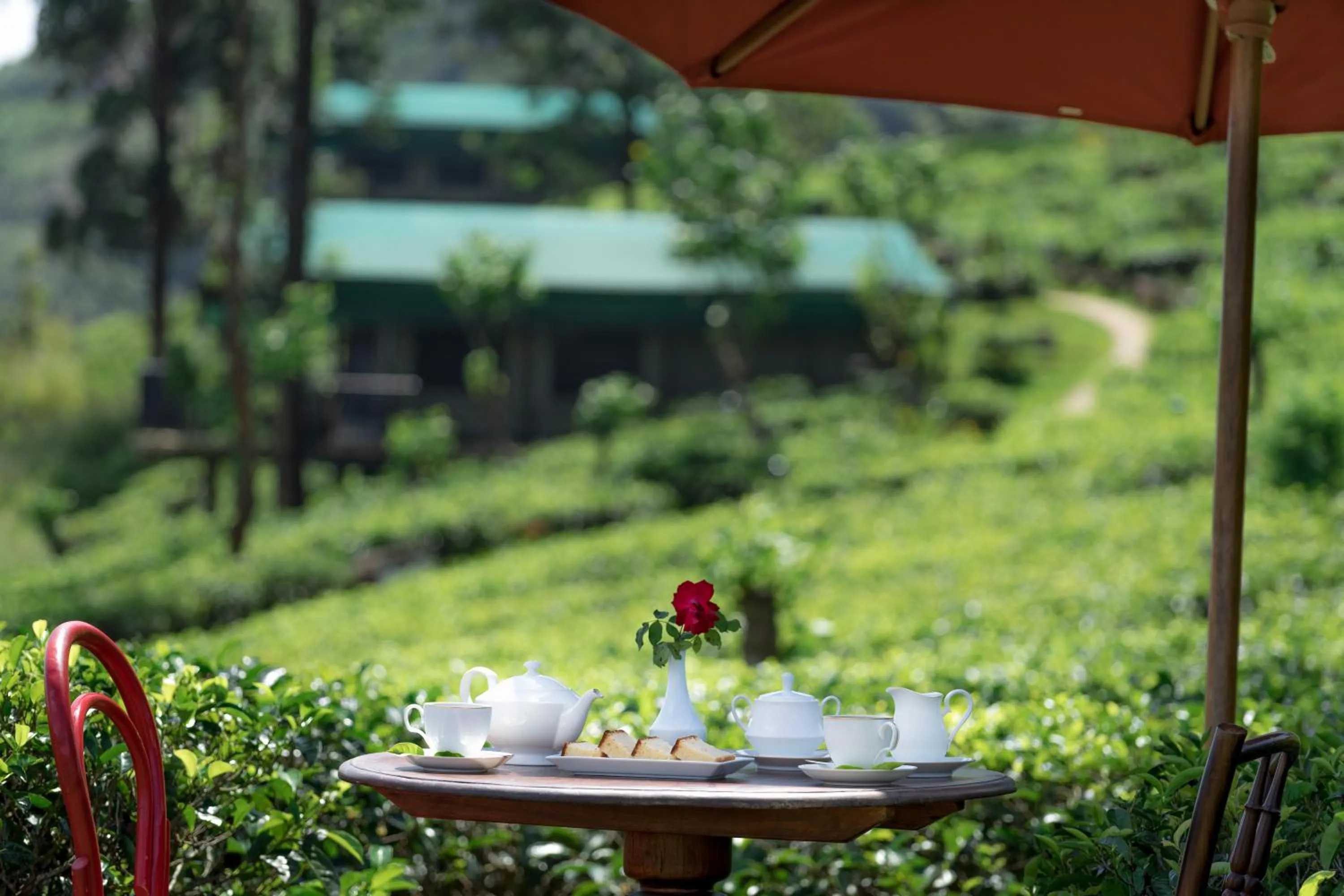 Landmark view in Madulkelle Tea and Eco Lodge