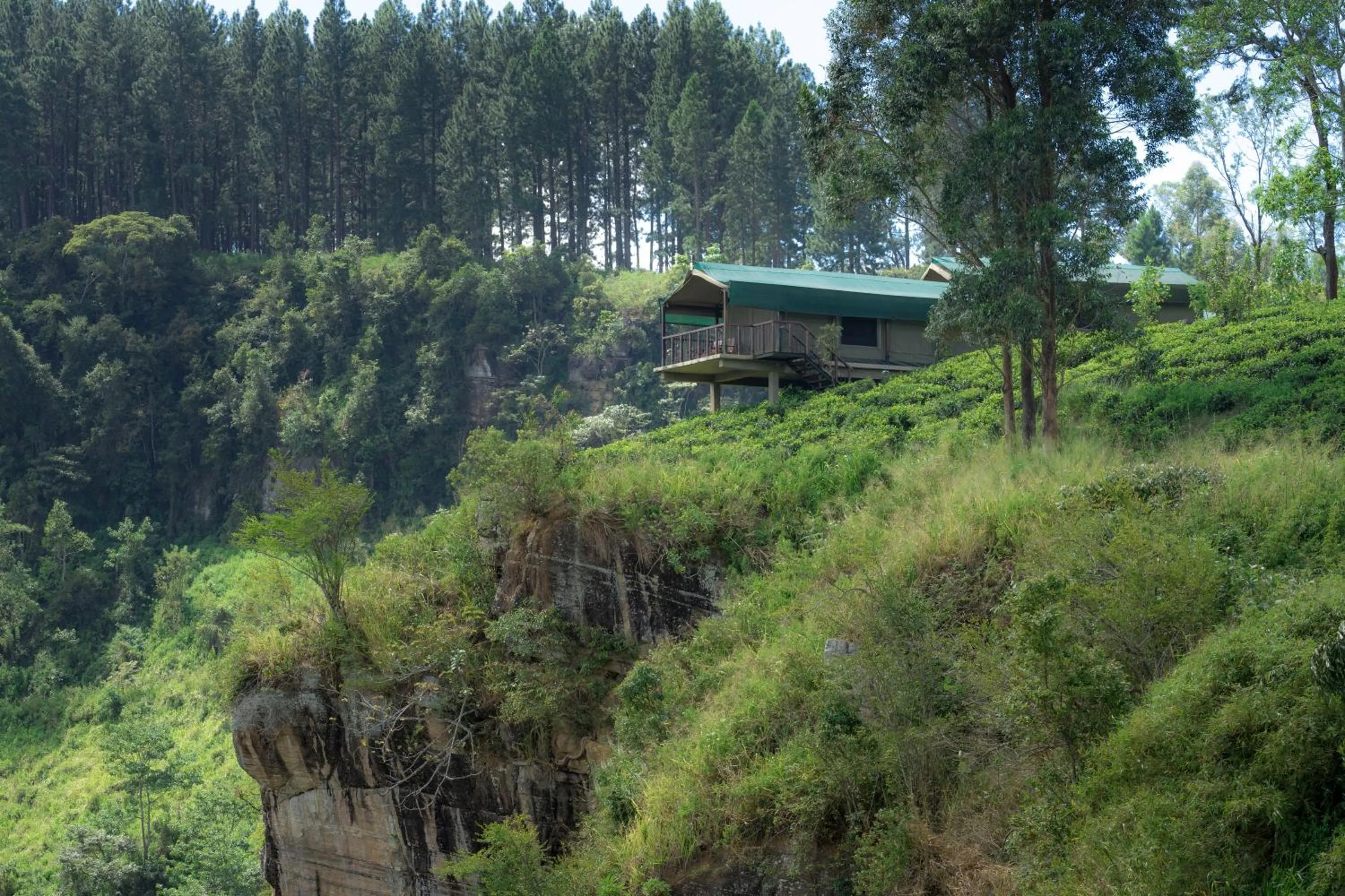 Property building in Madulkelle Tea and Eco Lodge