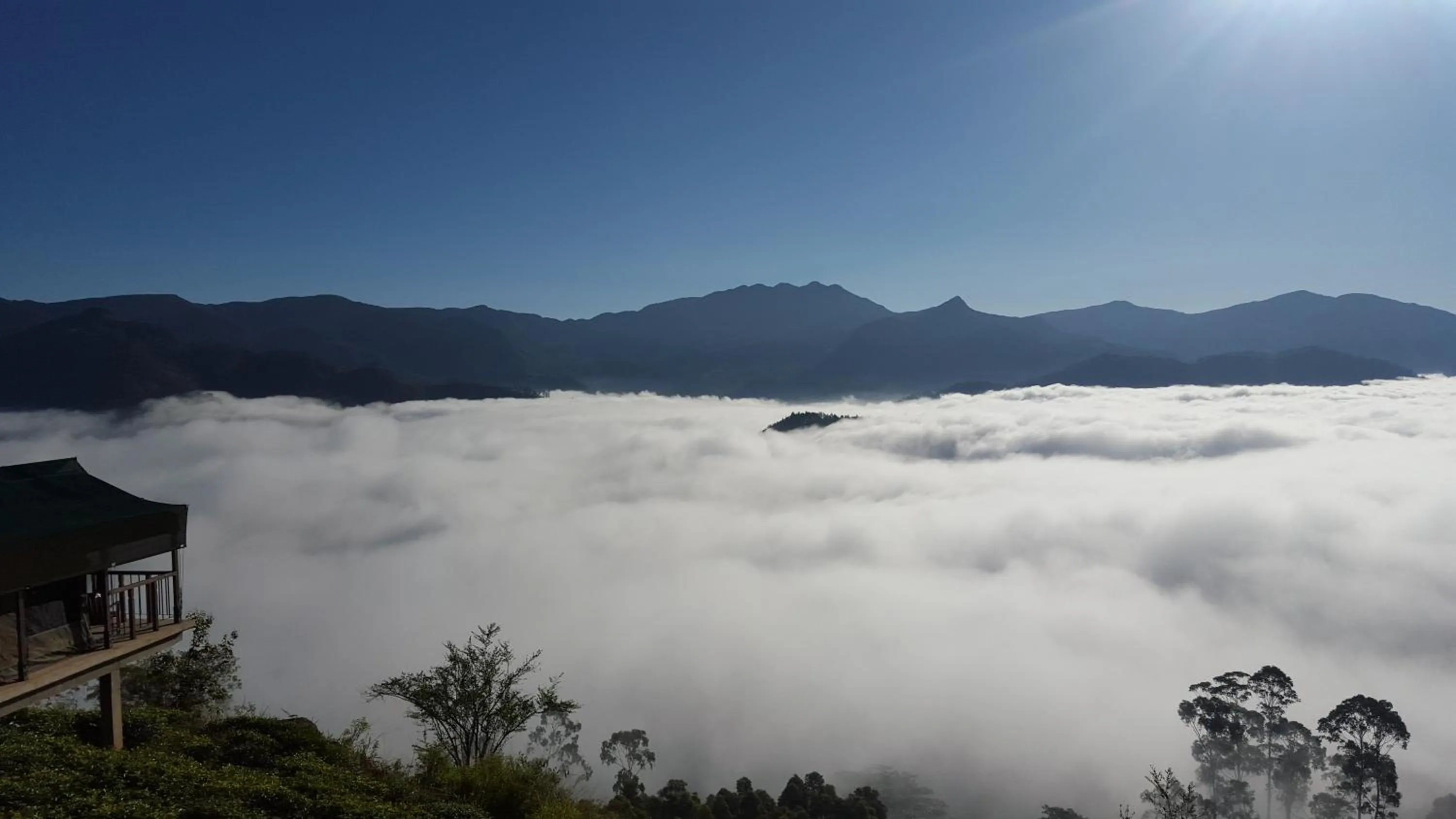 View (from property/room) in Madulkelle Tea and Eco Lodge