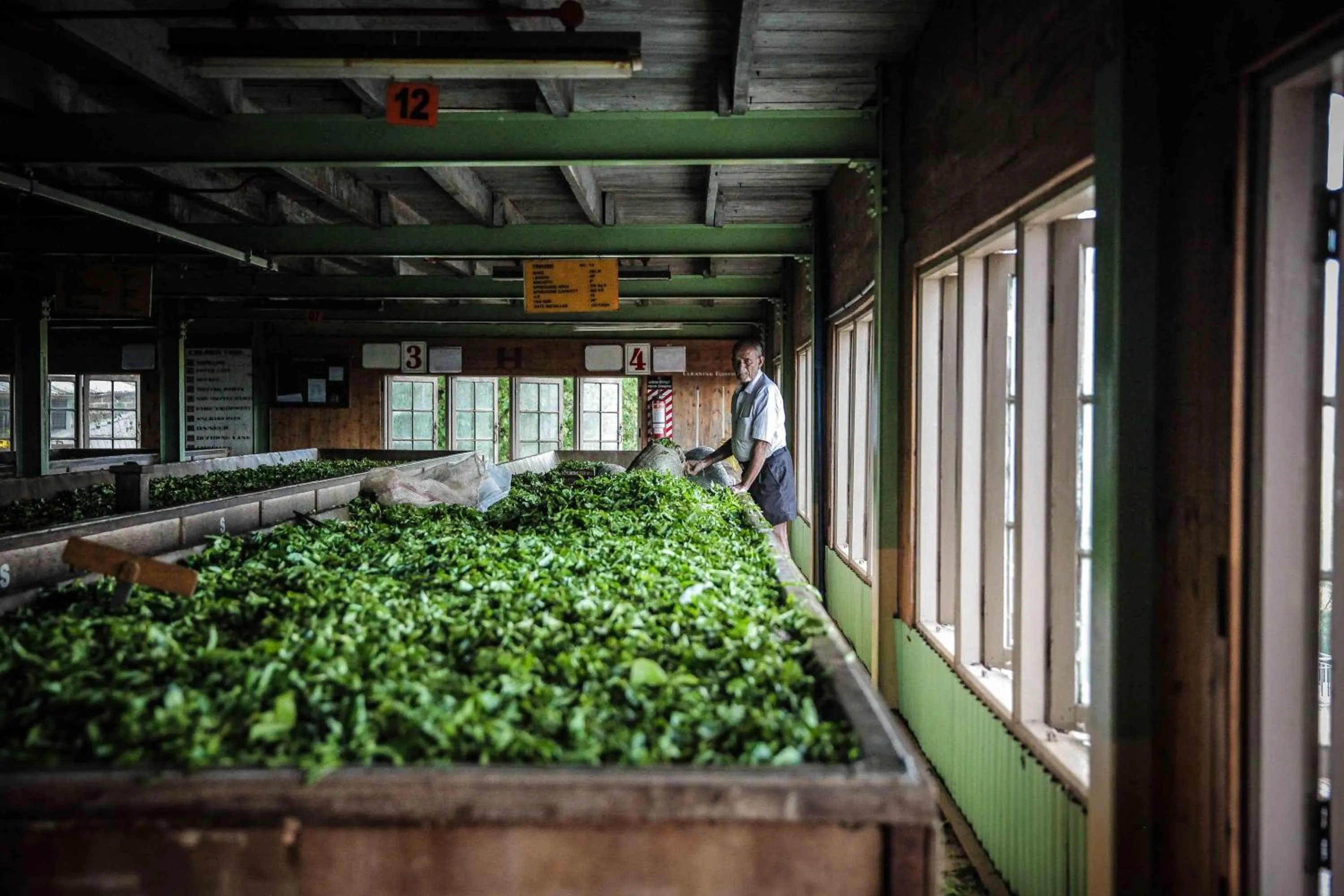 Nearby landmark in Madulkelle Tea and Eco Lodge