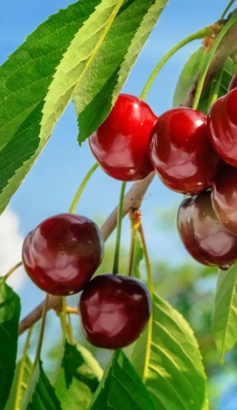 Day in Viaggio della Vita B&B