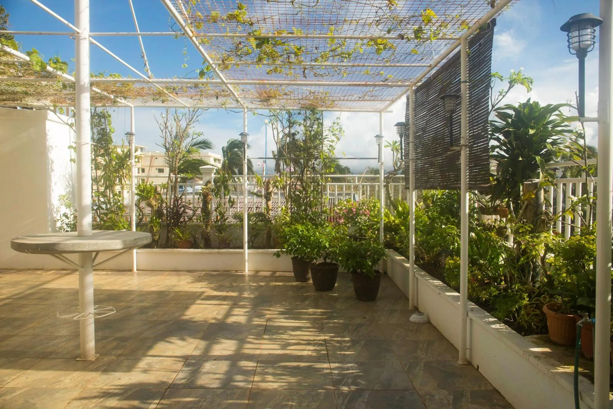 Balcony/Terrace in Isla Gecko Resort