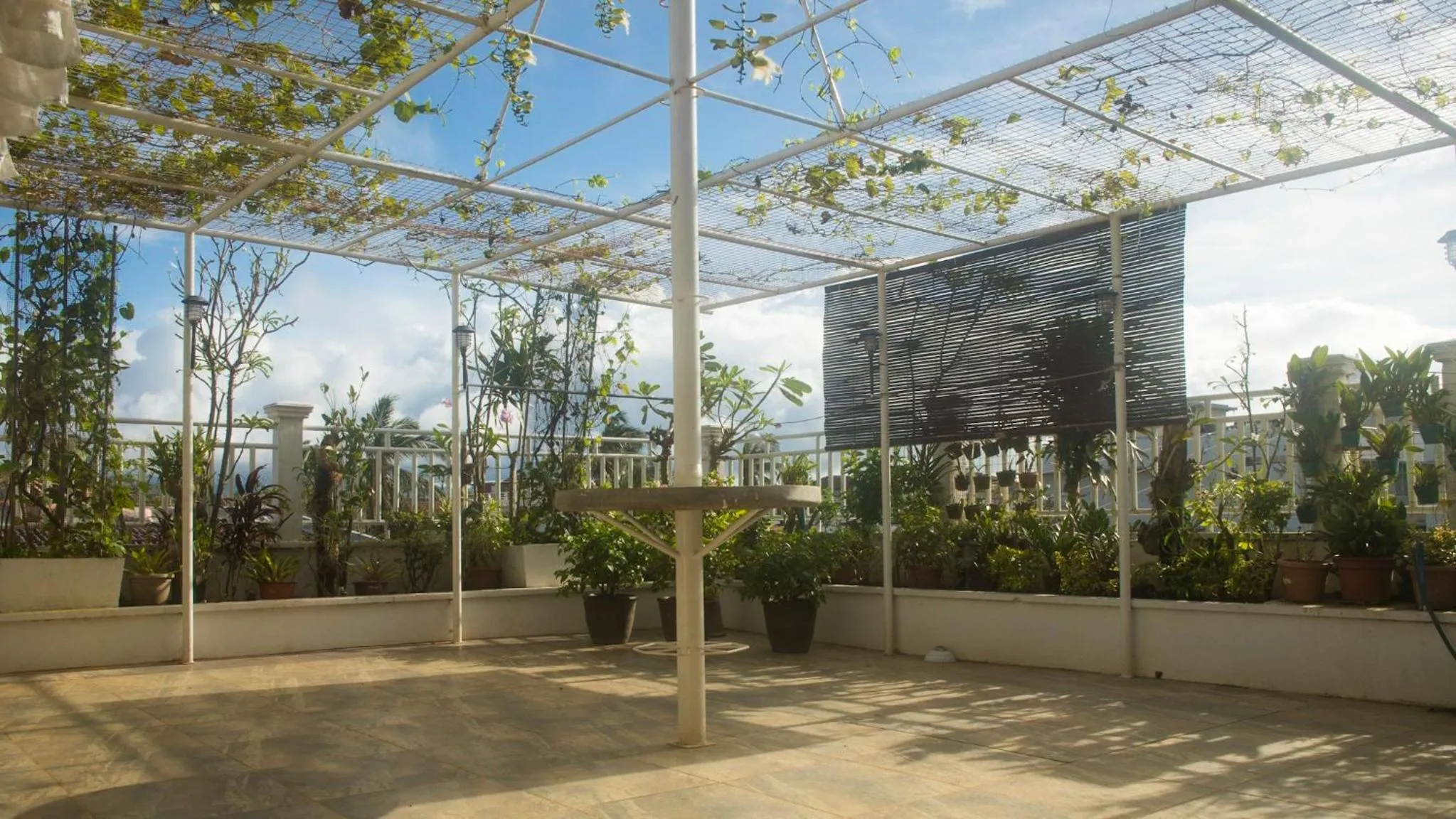 Balcony/Terrace in Isla Gecko Resort