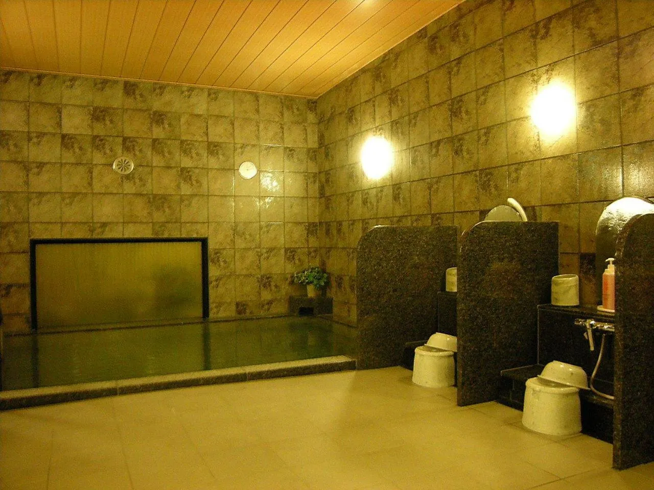 Public Bath in Hotel Route-Inn Seki