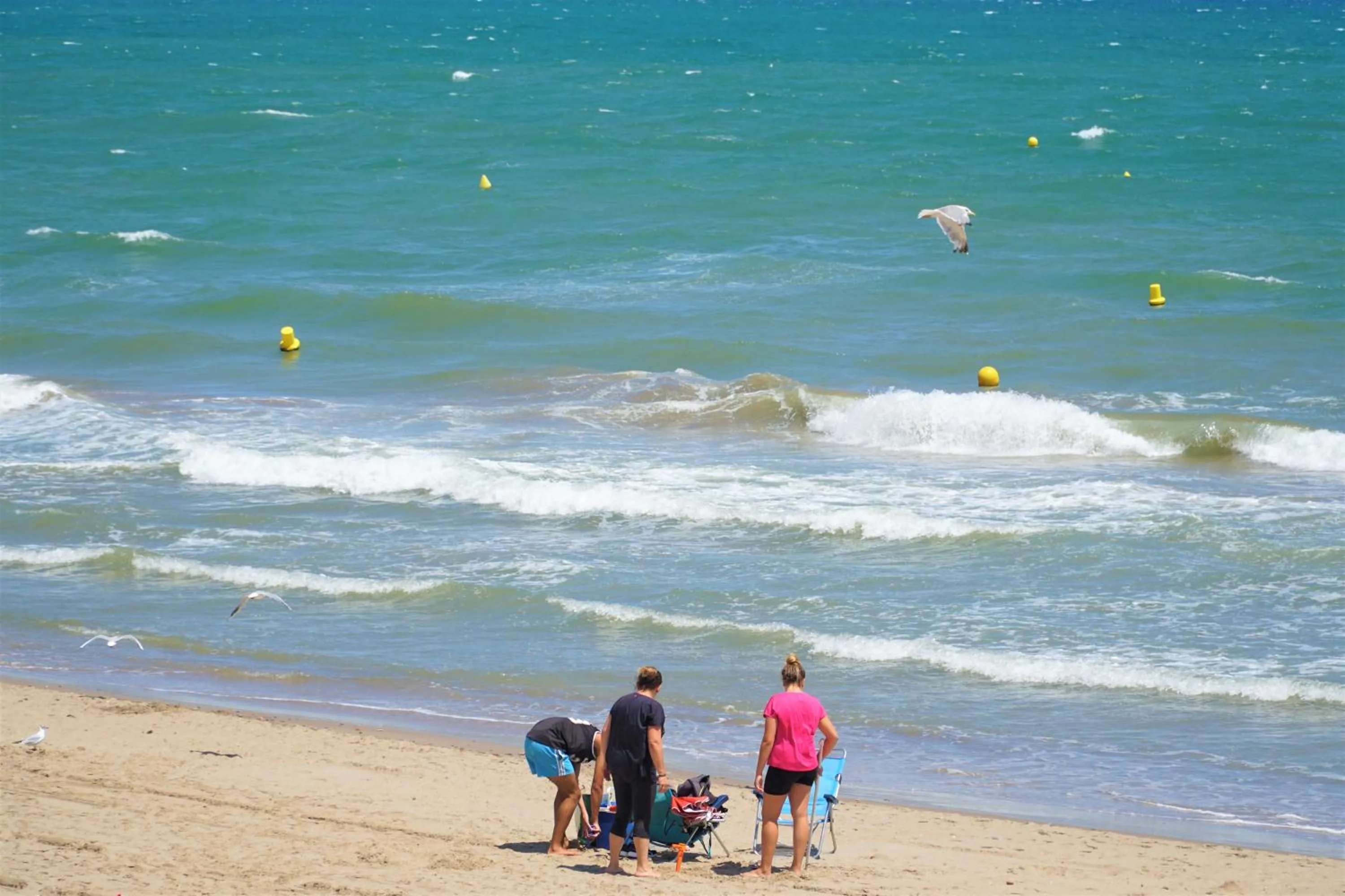 Beach in Sea You Apartamentos Valencia Port Saplaya