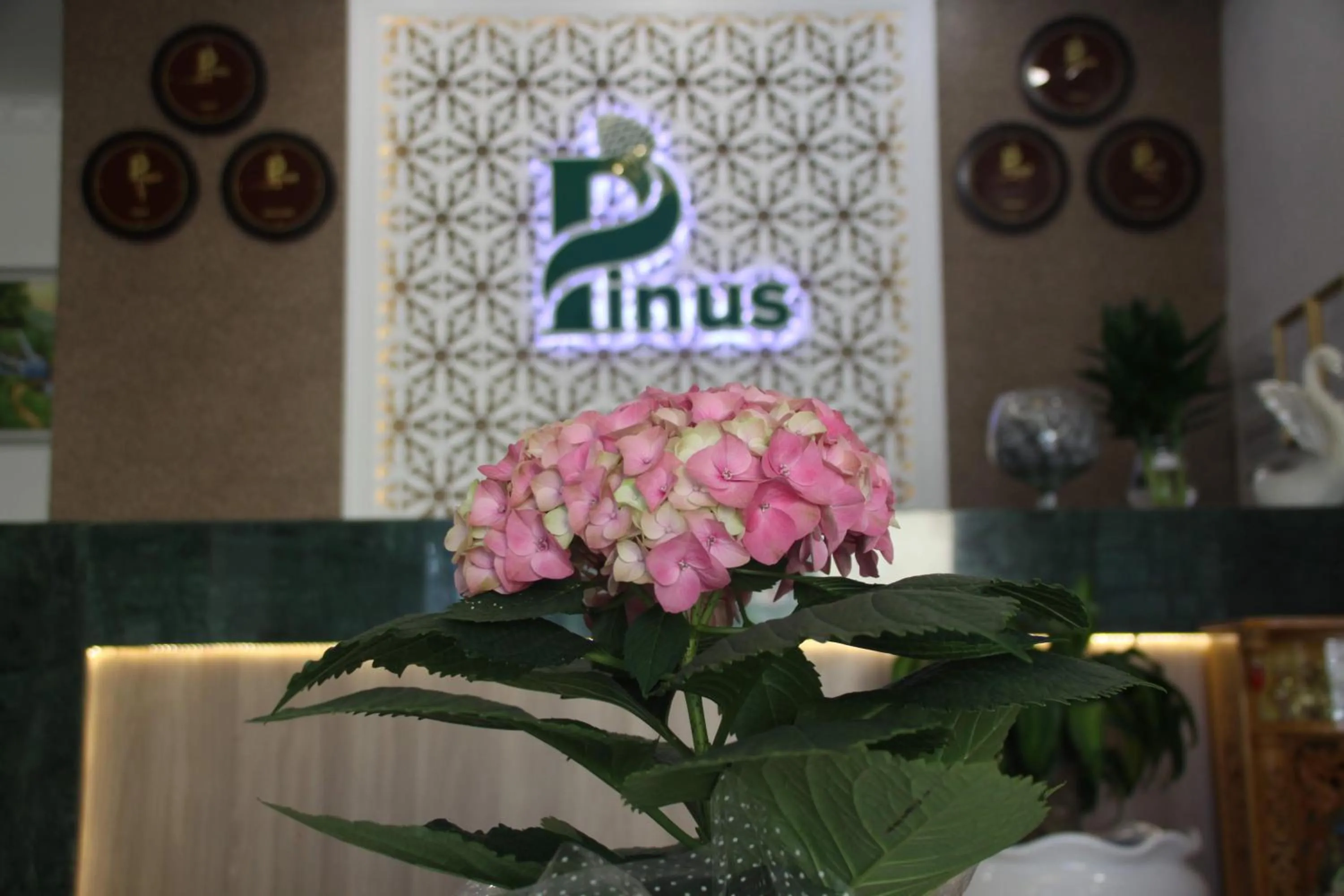 Property logo or sign in Pinus Hotel