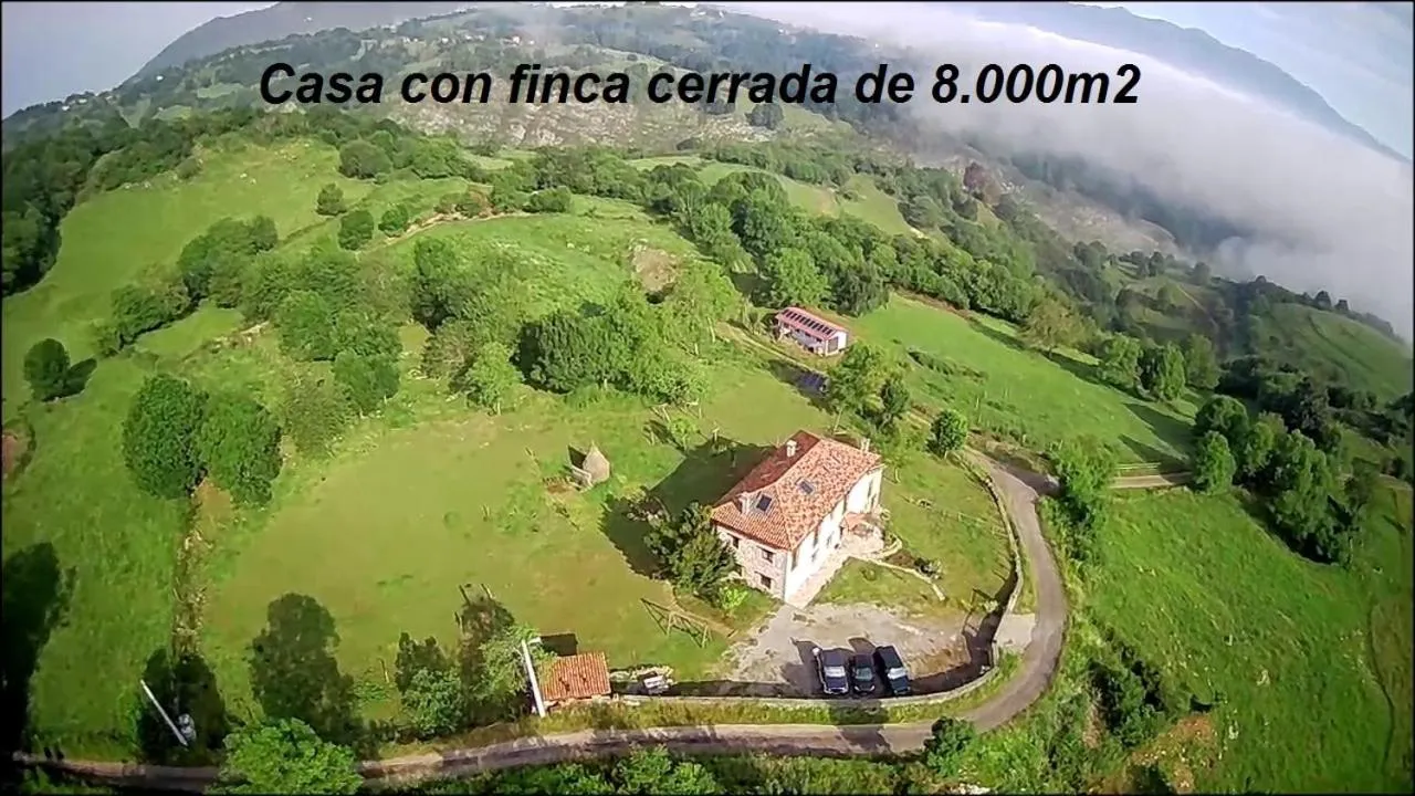 Bird's eye view in El Conventu del Asturcon