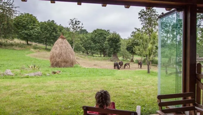 Garden view in El Conventu del Asturcon
