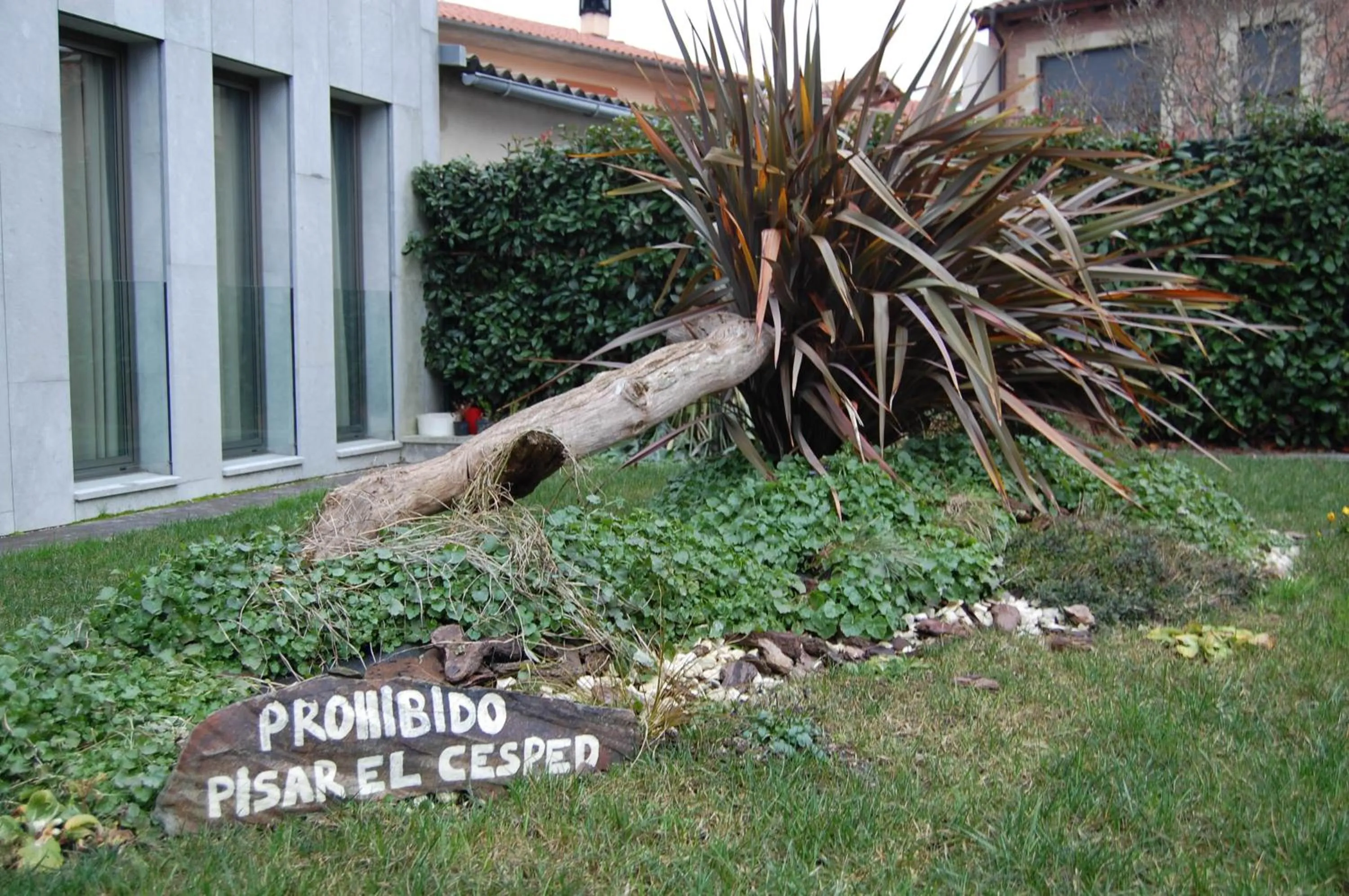 Garden in Hotel Araba