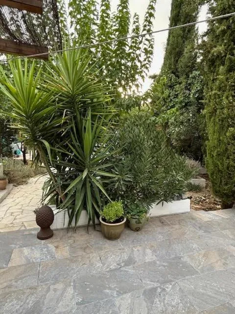 Garden in Casa La Nuez