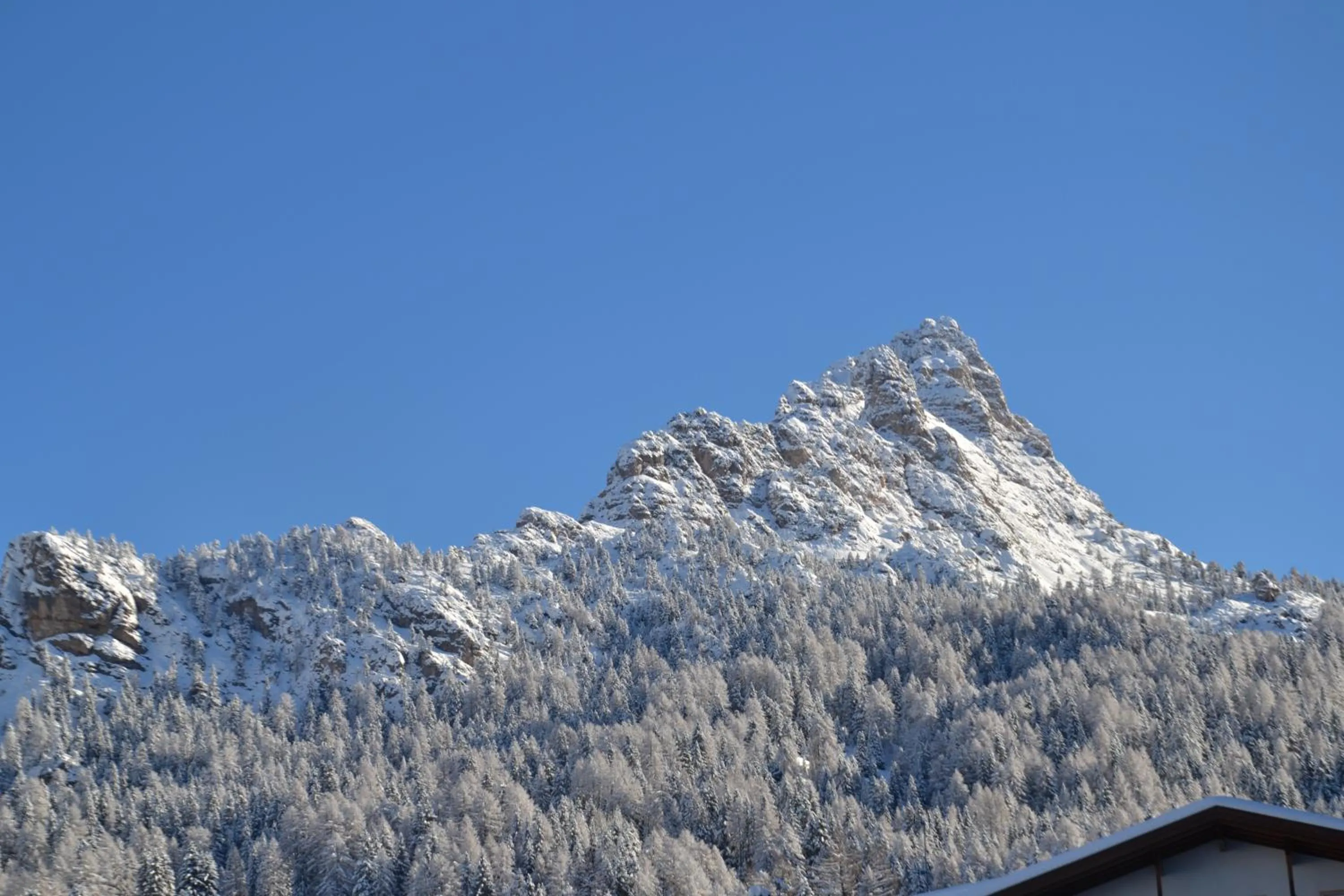 Day in Hotel Scoiattolo