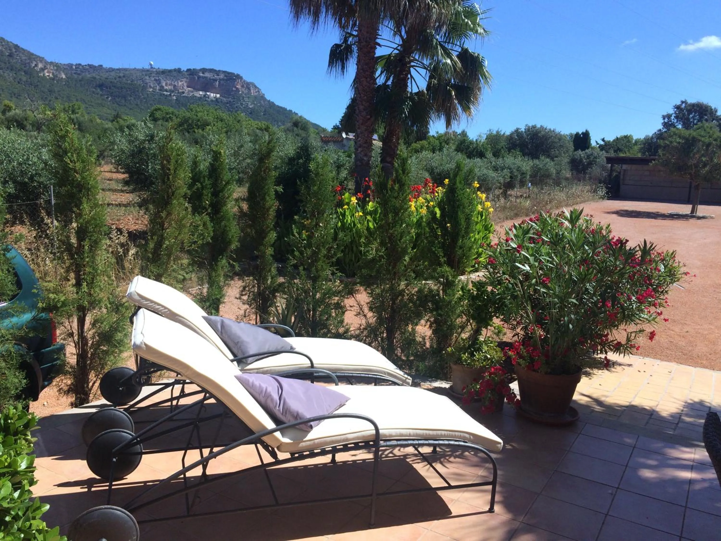 Balcony/Terrace in Villa Sampoli - Agroturismo Son Sampoli - Adults only