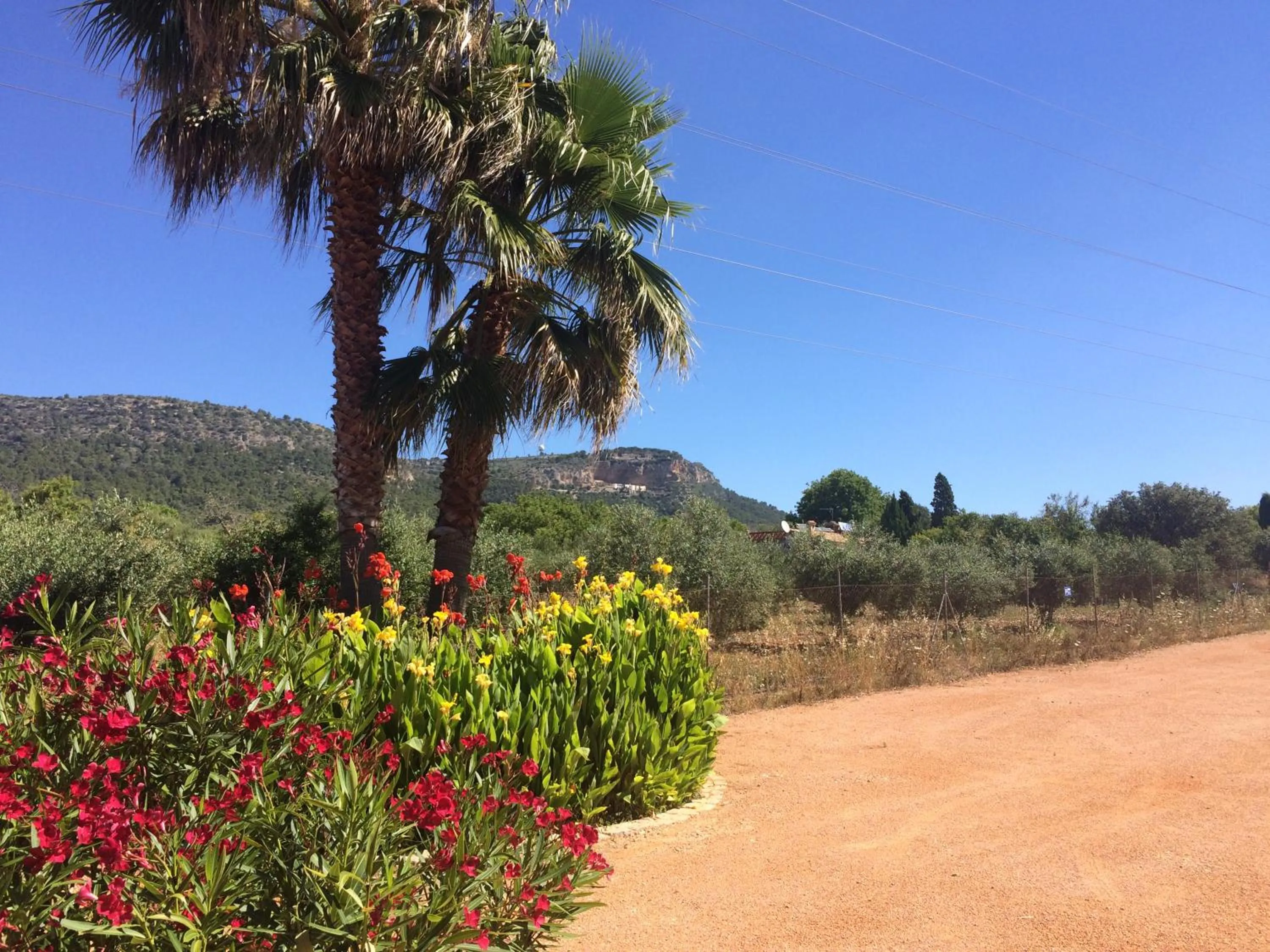 Other in Villa Sampoli - Agroturismo Son Sampoli - Adults only