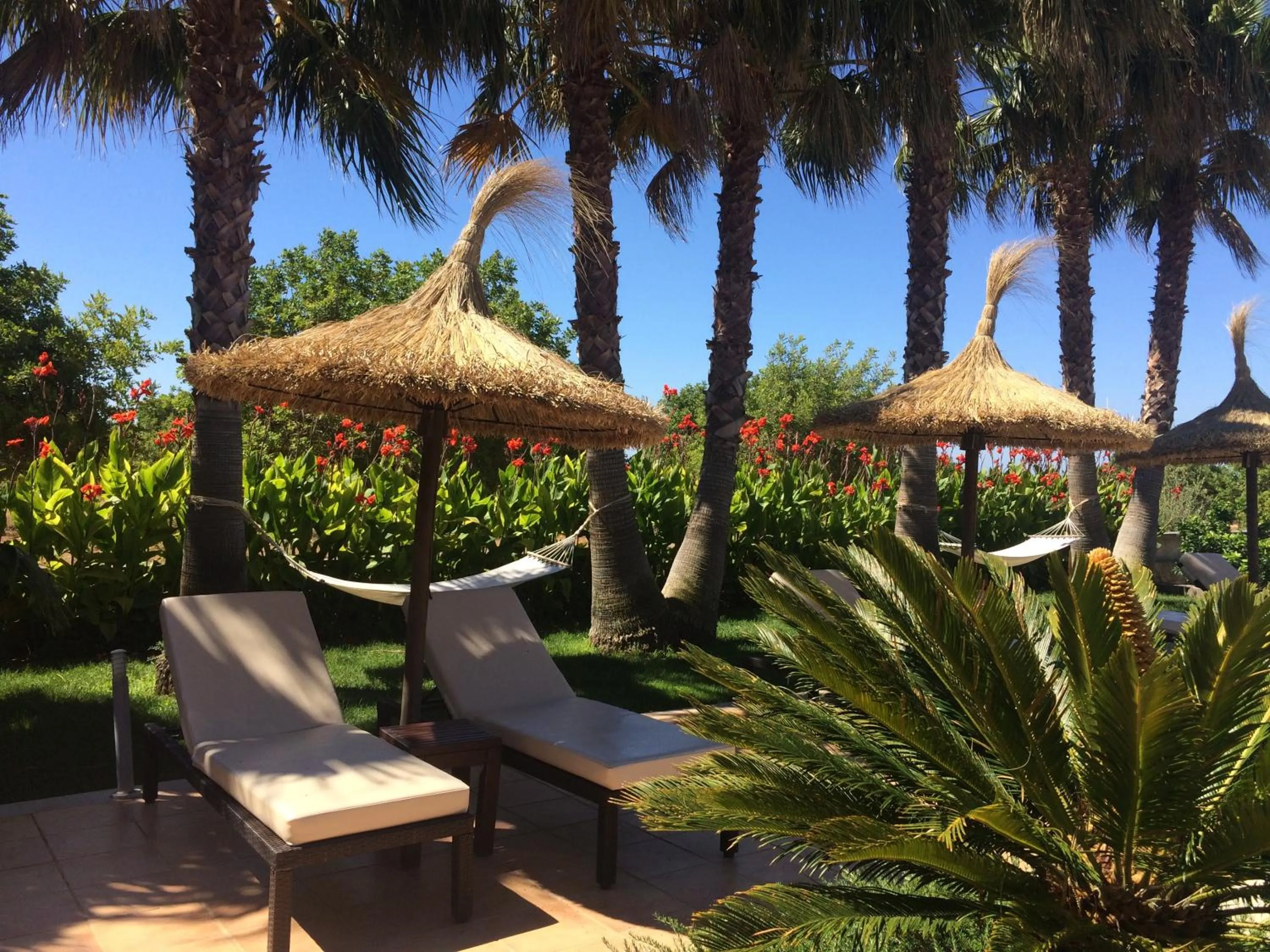 Garden in Villa Sampoli - Agroturismo Son Sampoli - Adults only