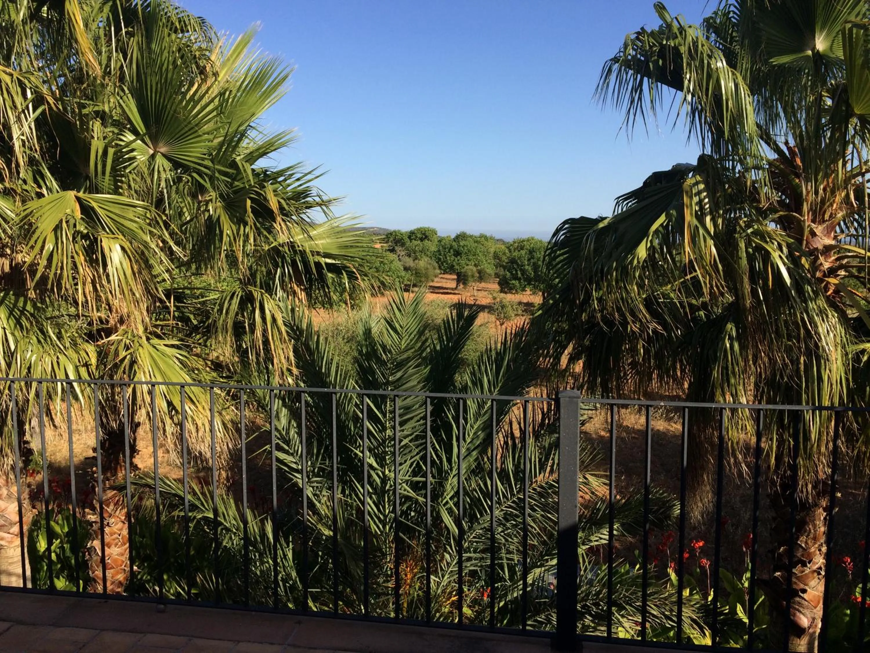 View (from property/room) in Villa Sampoli - Agroturismo Son Sampoli - Adults only